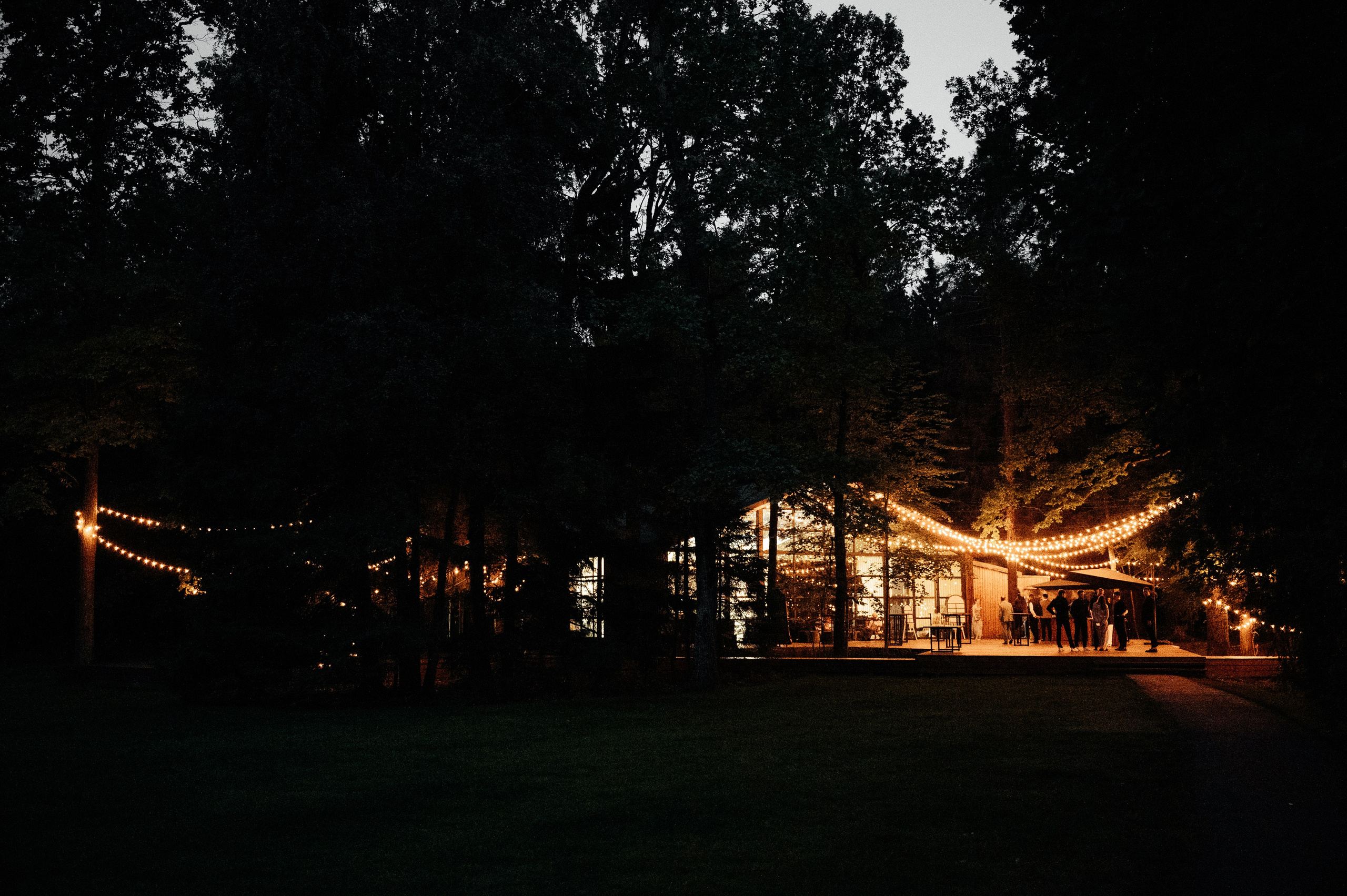 Wedding Romance and Anastasia. Wedding photographer in Moscow and around the world Andrey Medvednikov