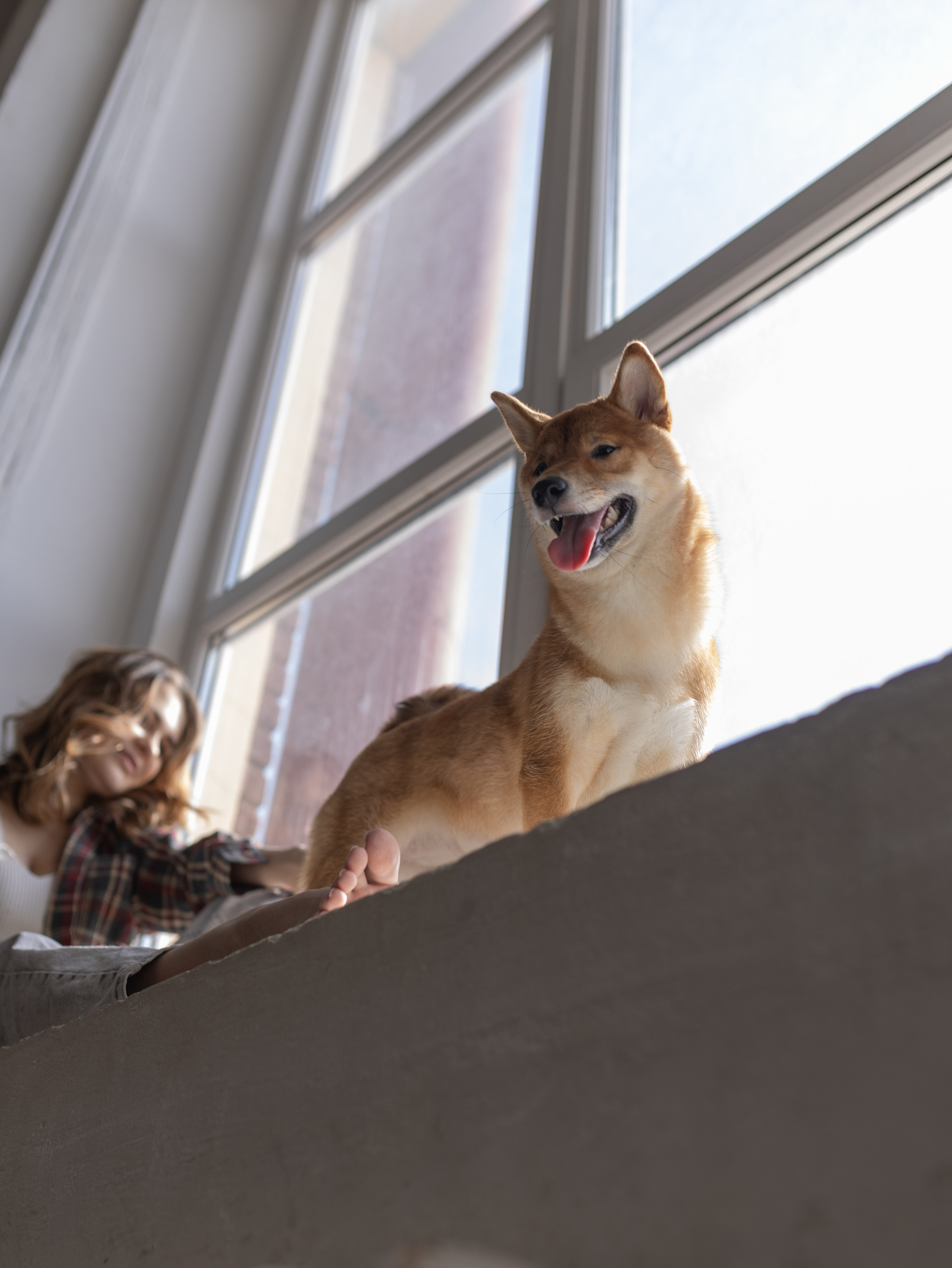 Мика и Настя. Фотограф-анималист в Москве Кириллова Татьяна