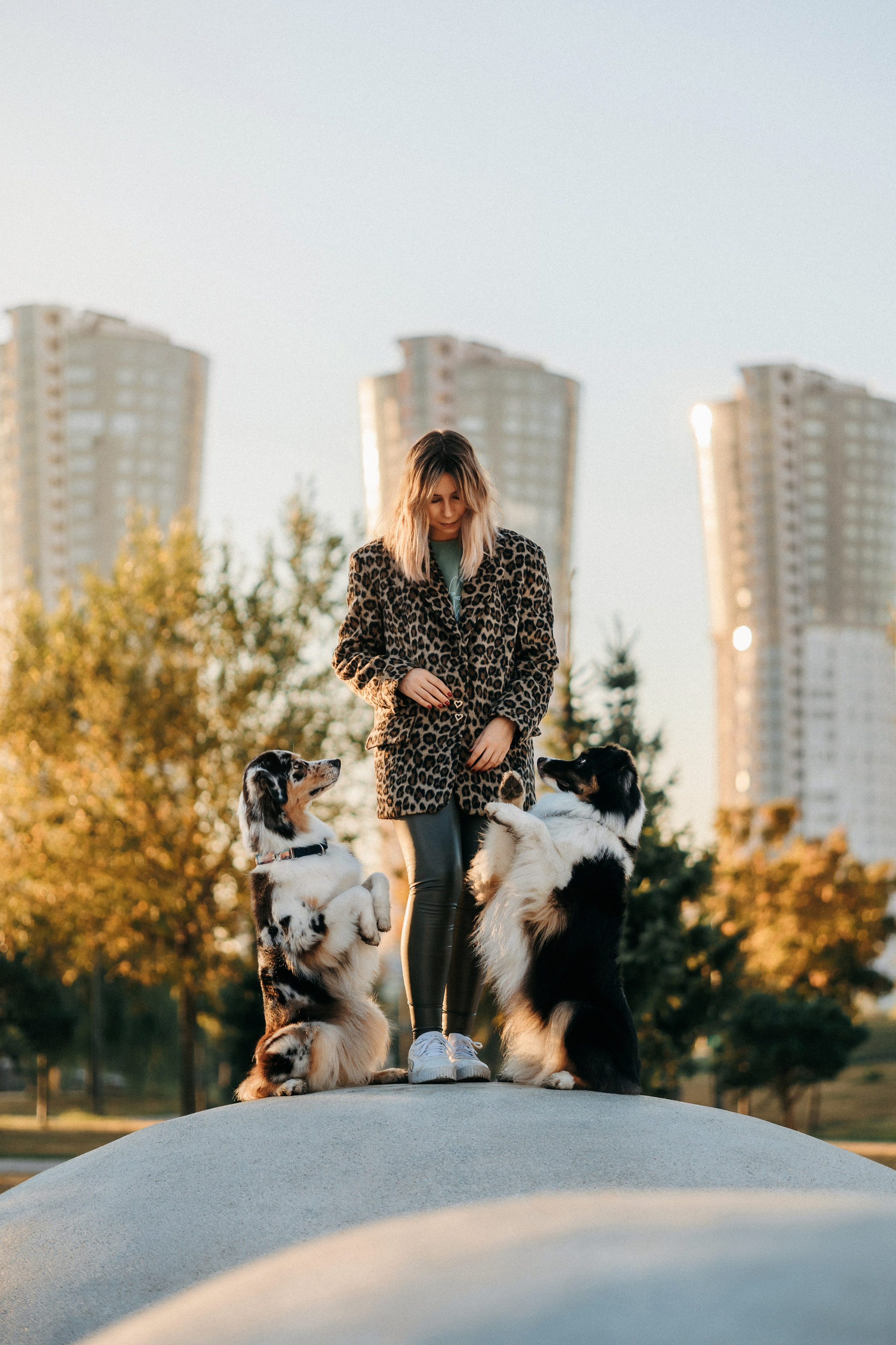 Аня, Чарли и Ева. Фотограф-анималист Елена Радченко, Москва