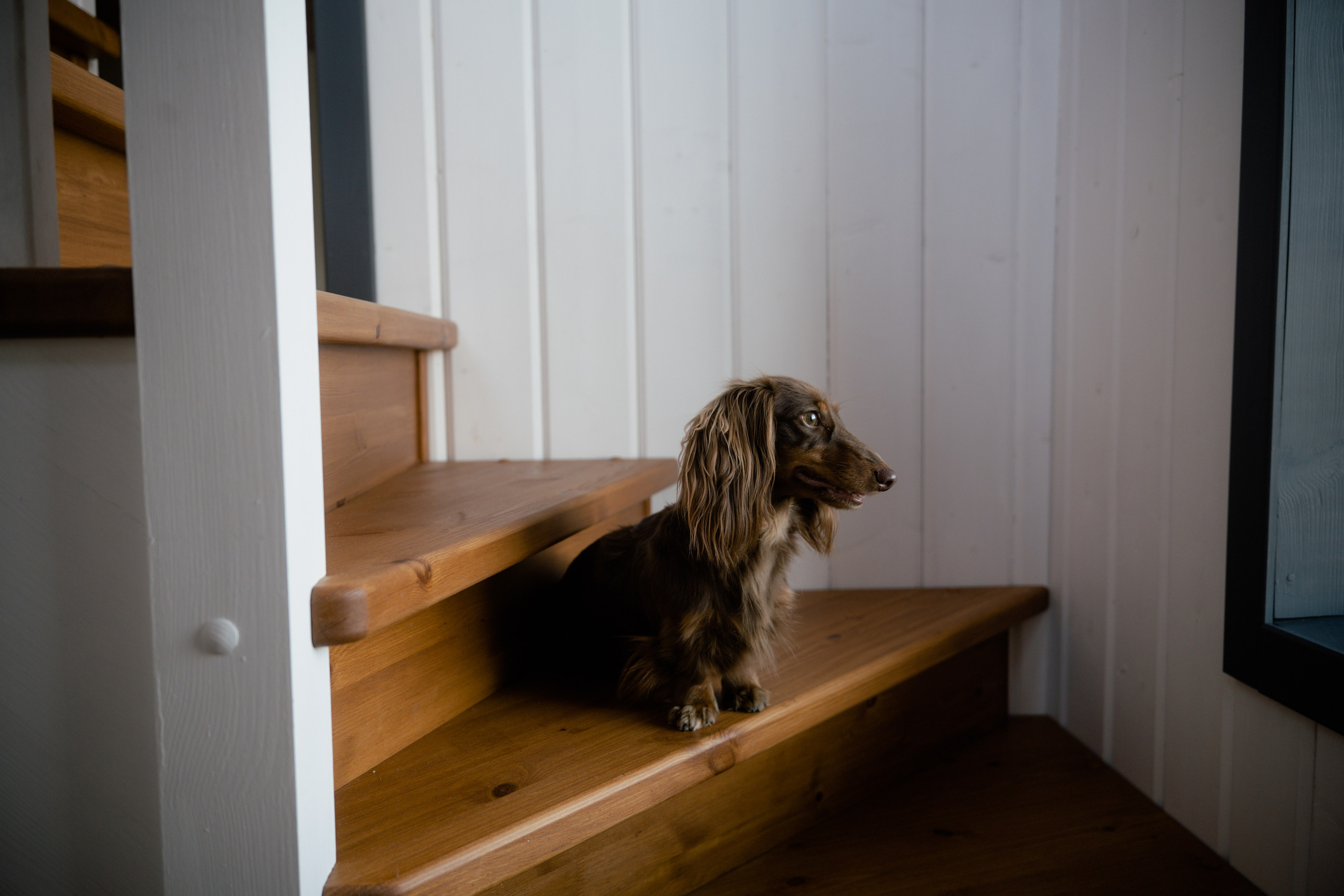 База отдыха. Фотограф и видеограф Мария Банщикова, Солнечногорск, Москва