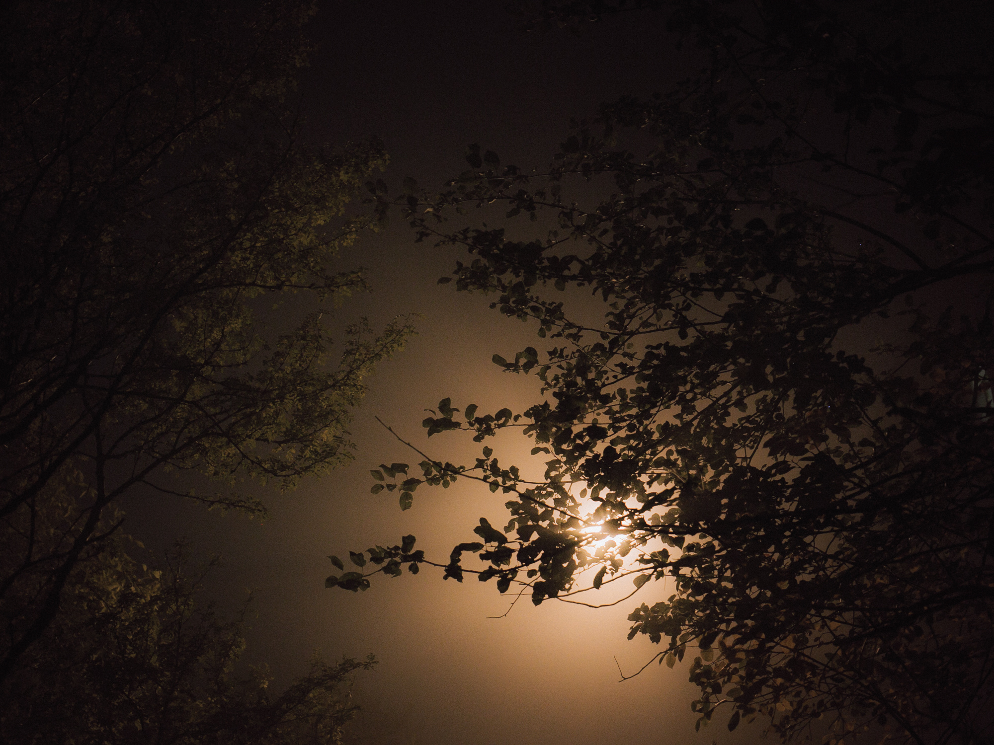 Far far away. Рита Новосёлова. Фотограф