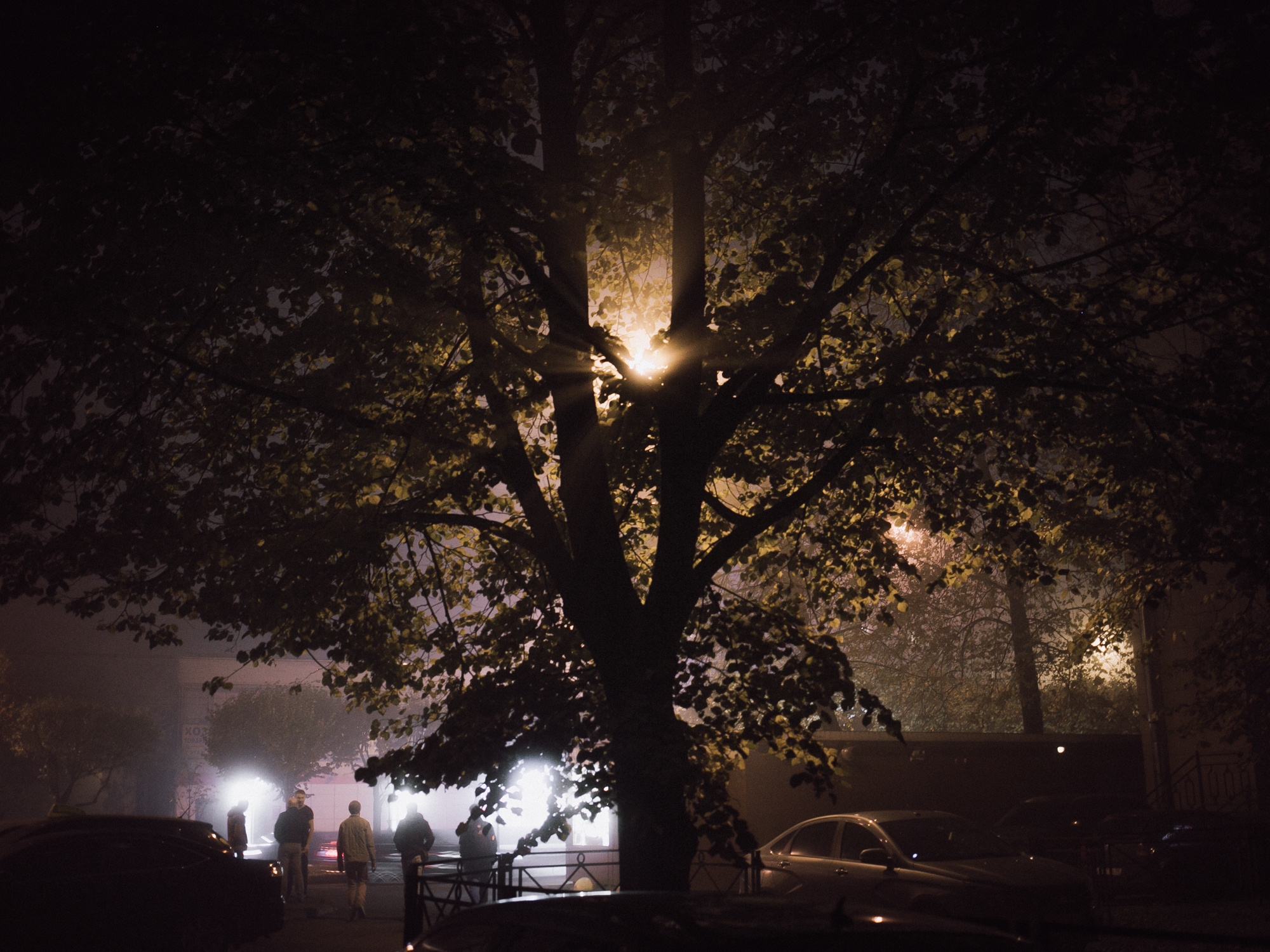 Far far away. Рита Новосёлова. Фотограф