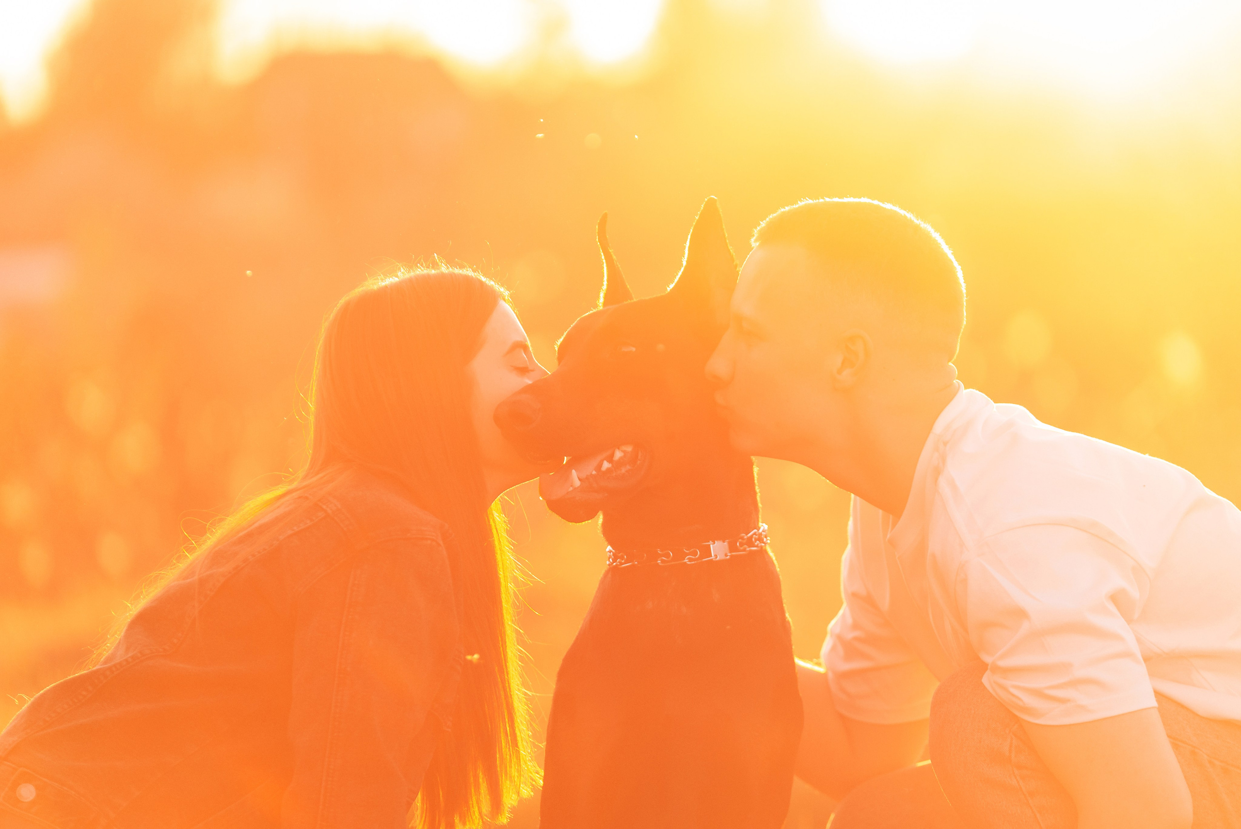 Юля, Андрей и Арес. Фотограф-анималист Анастасия Парфенова|Екатеринбург