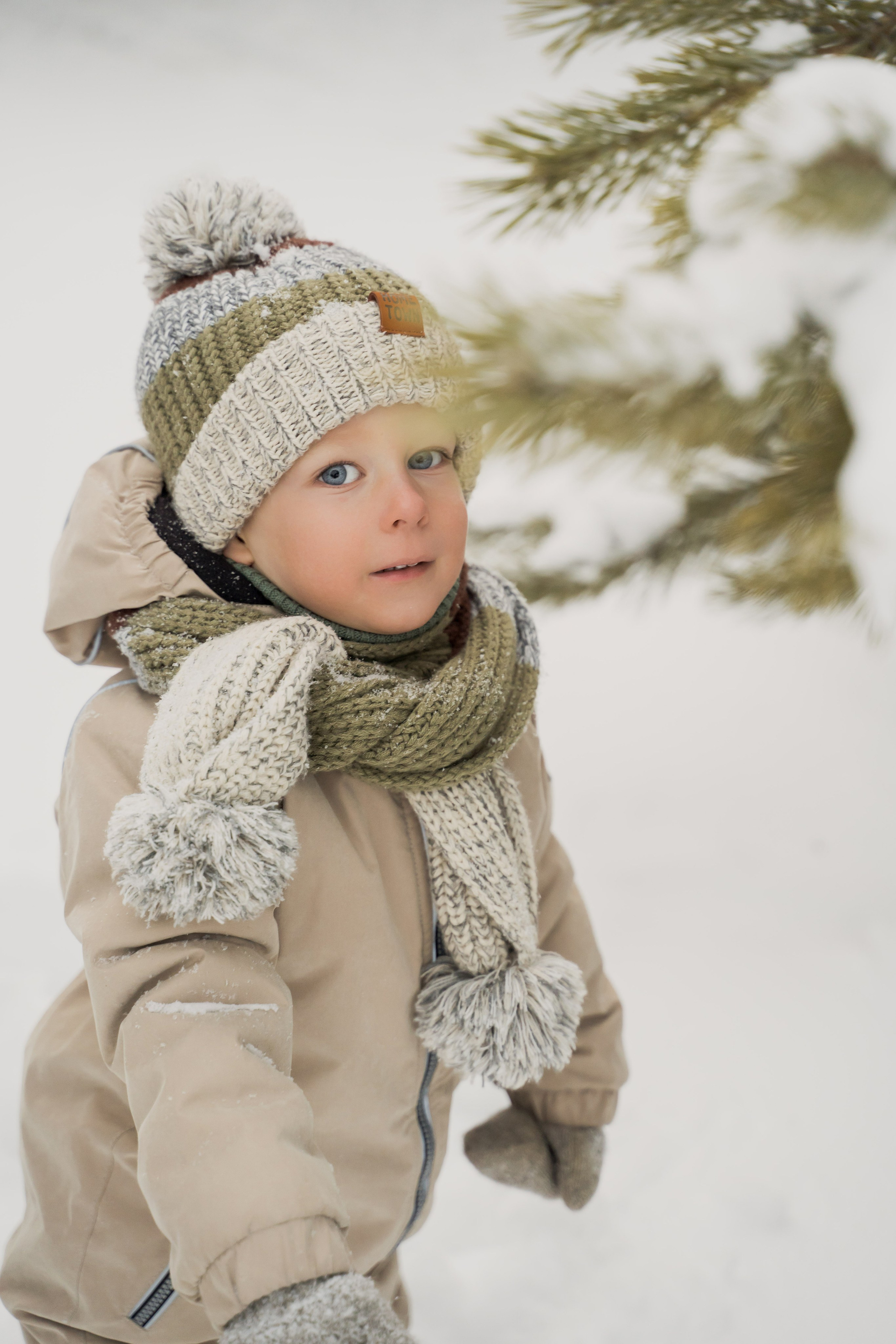 Зимняя прогулка. Главная