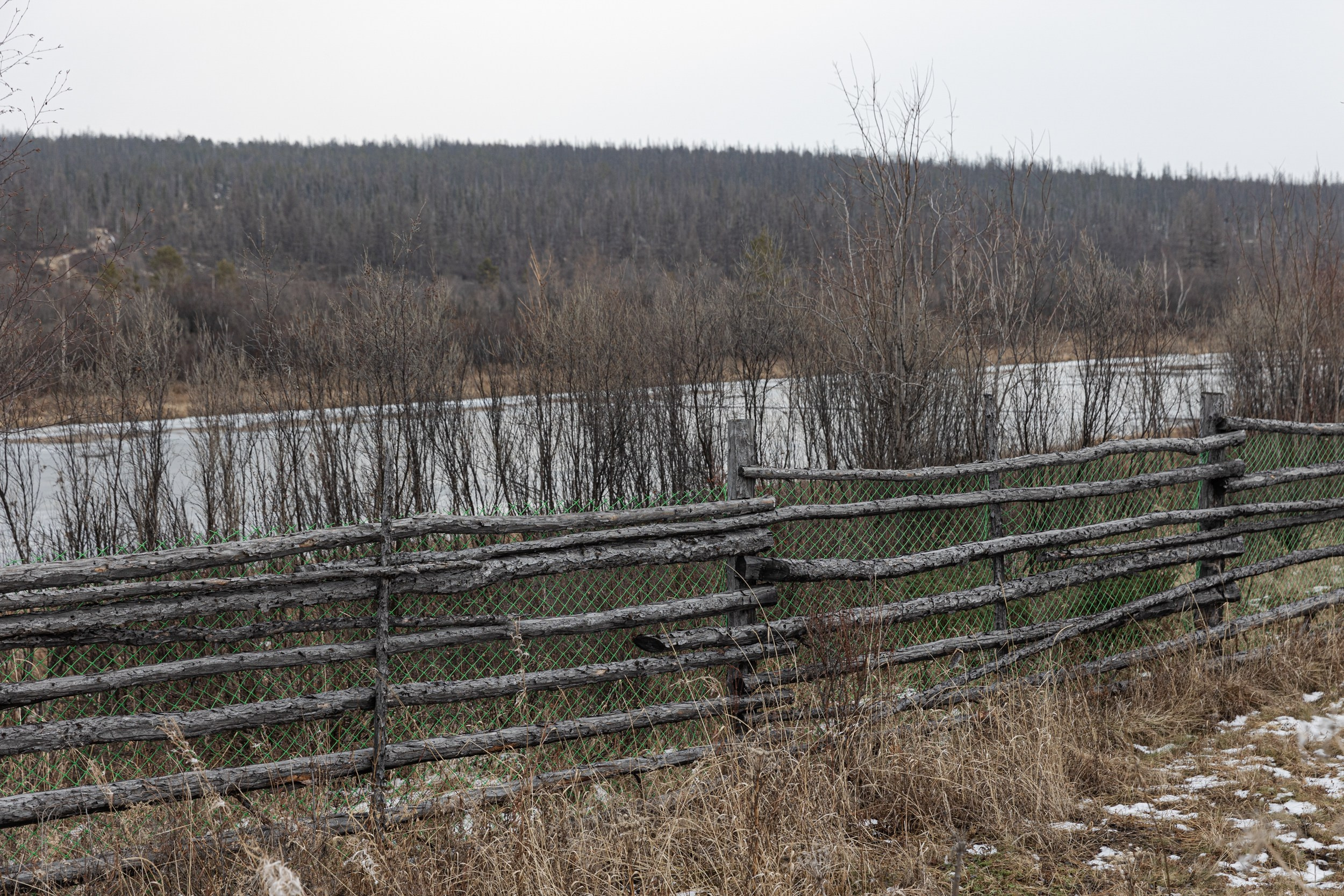 Сурена для Regnum. Юлия Невская режиссер и сценарист документального кино, документальный фотограф