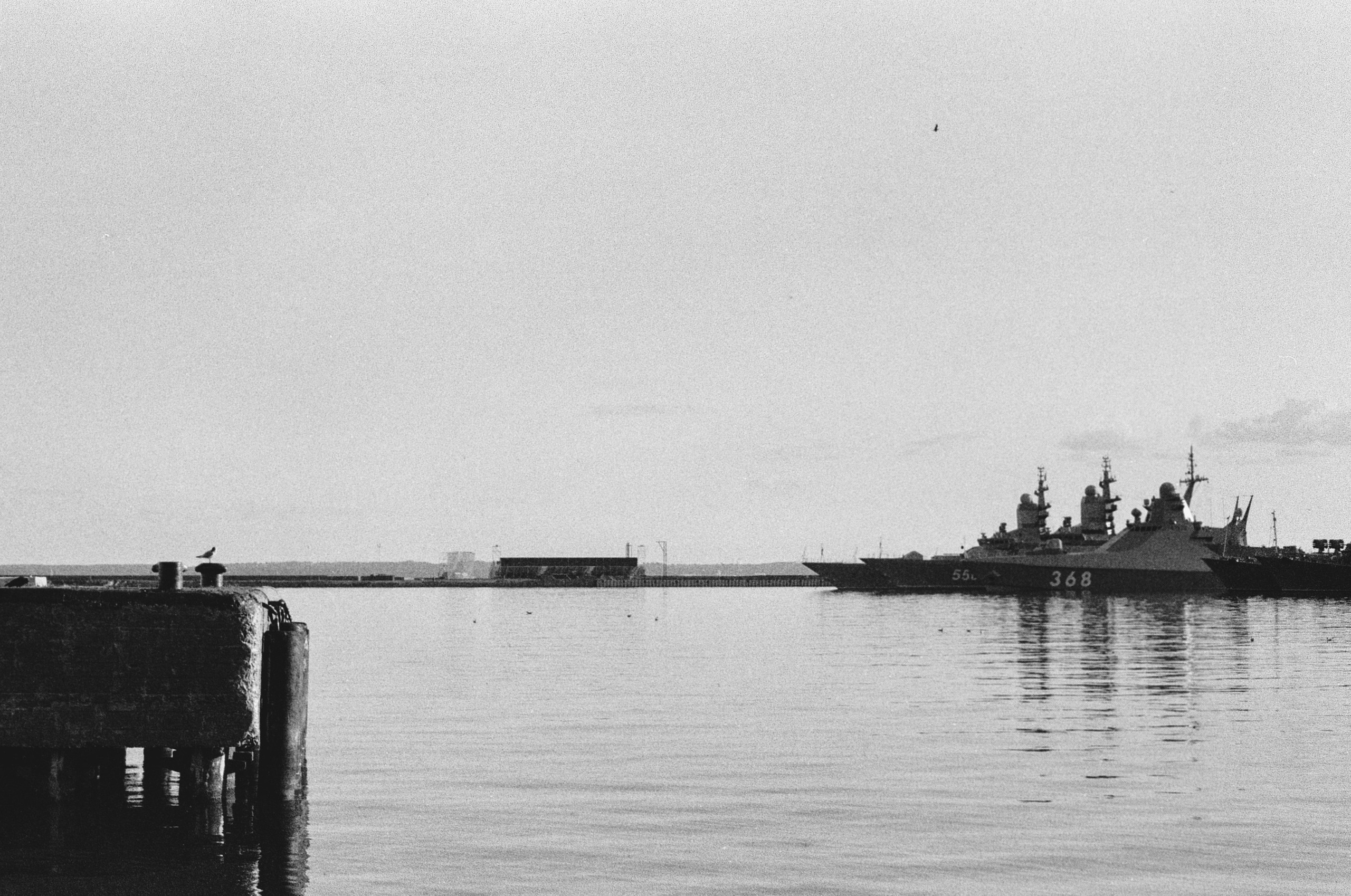 Жизнь. Игорь Гичка. Портрет с любовью