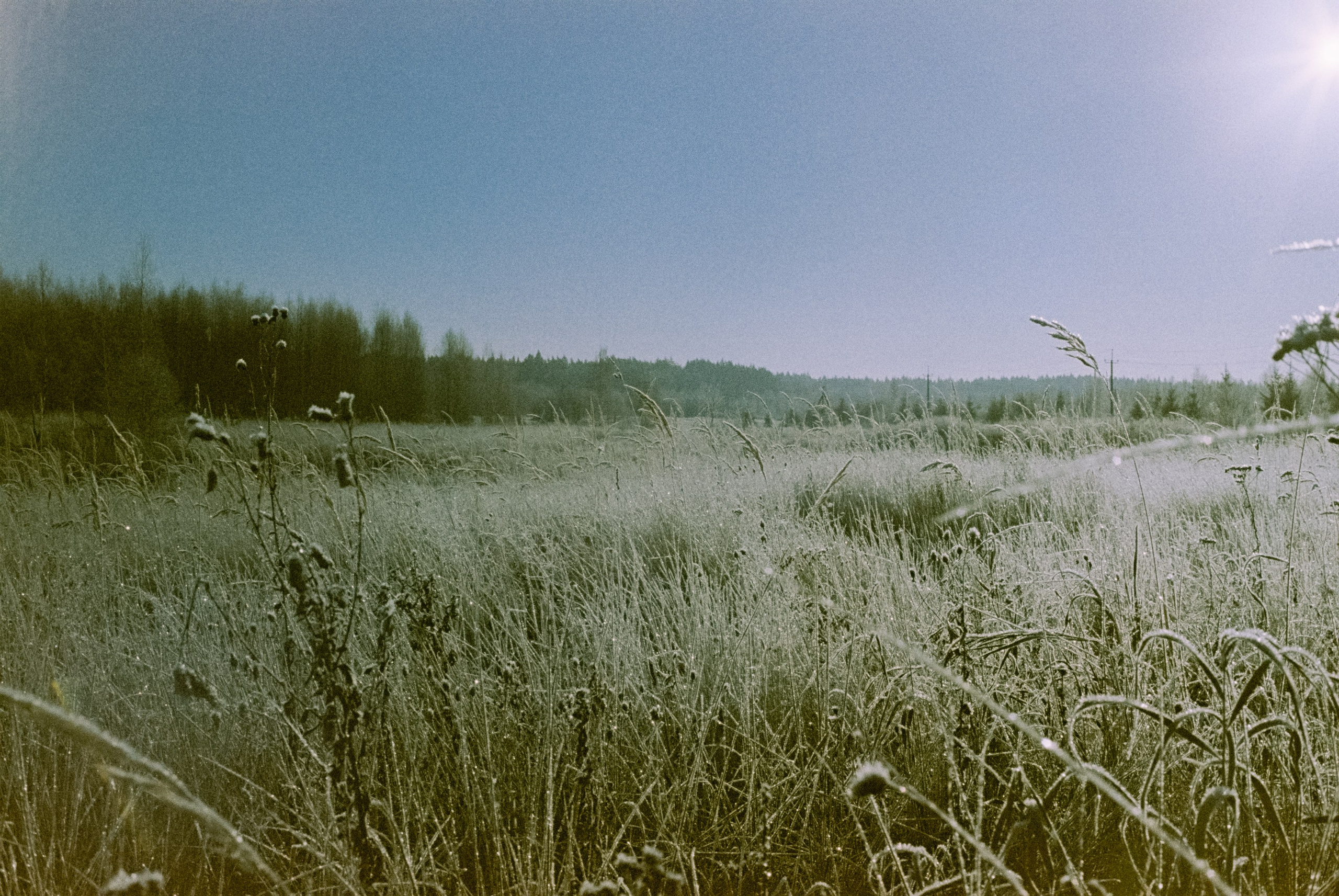 Minolta Hi-Matic 7sII / Kodak Color 200 (просрочка) / Лукино