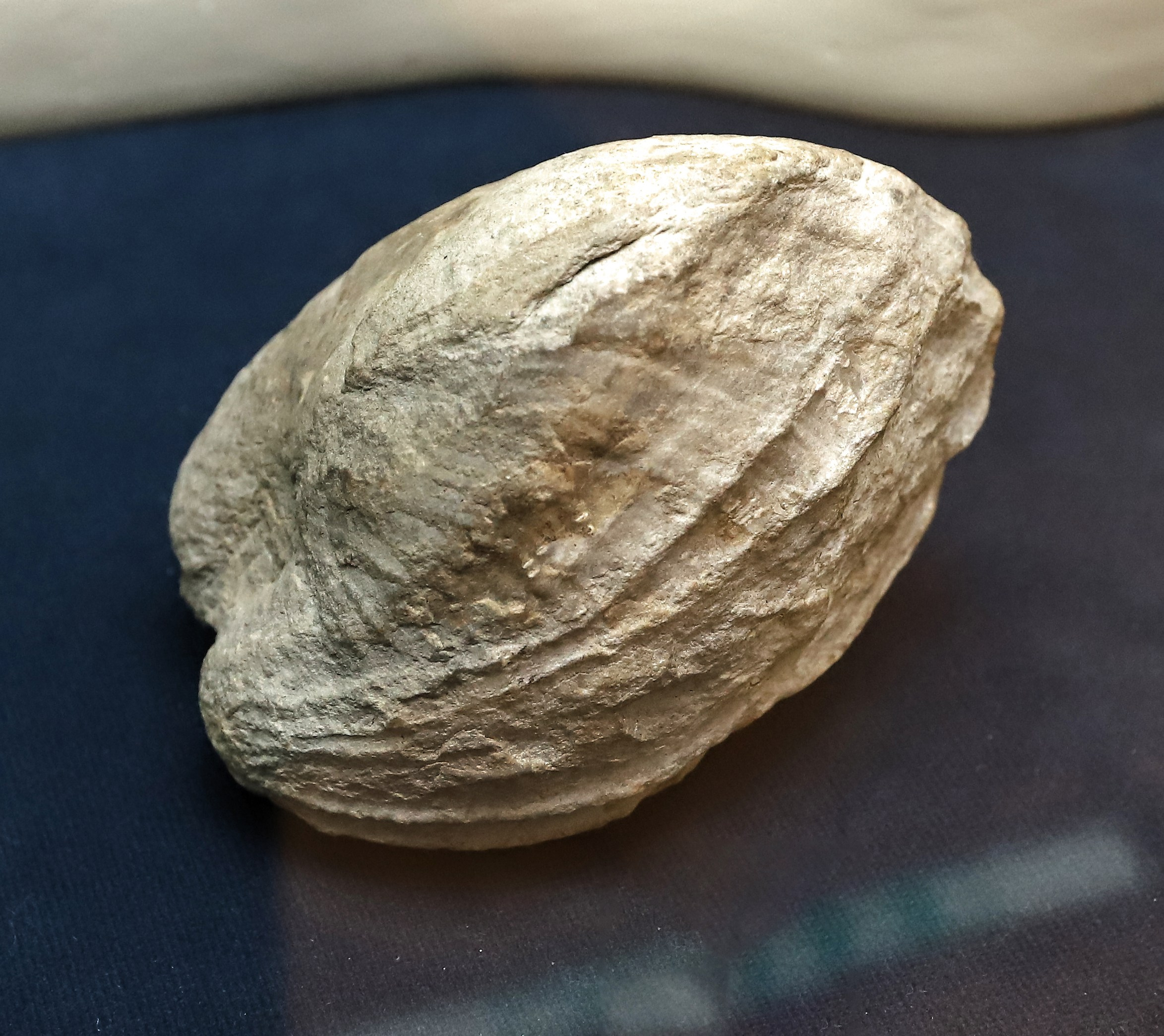 Каменная летопись. Фотограф Юлия Маринина