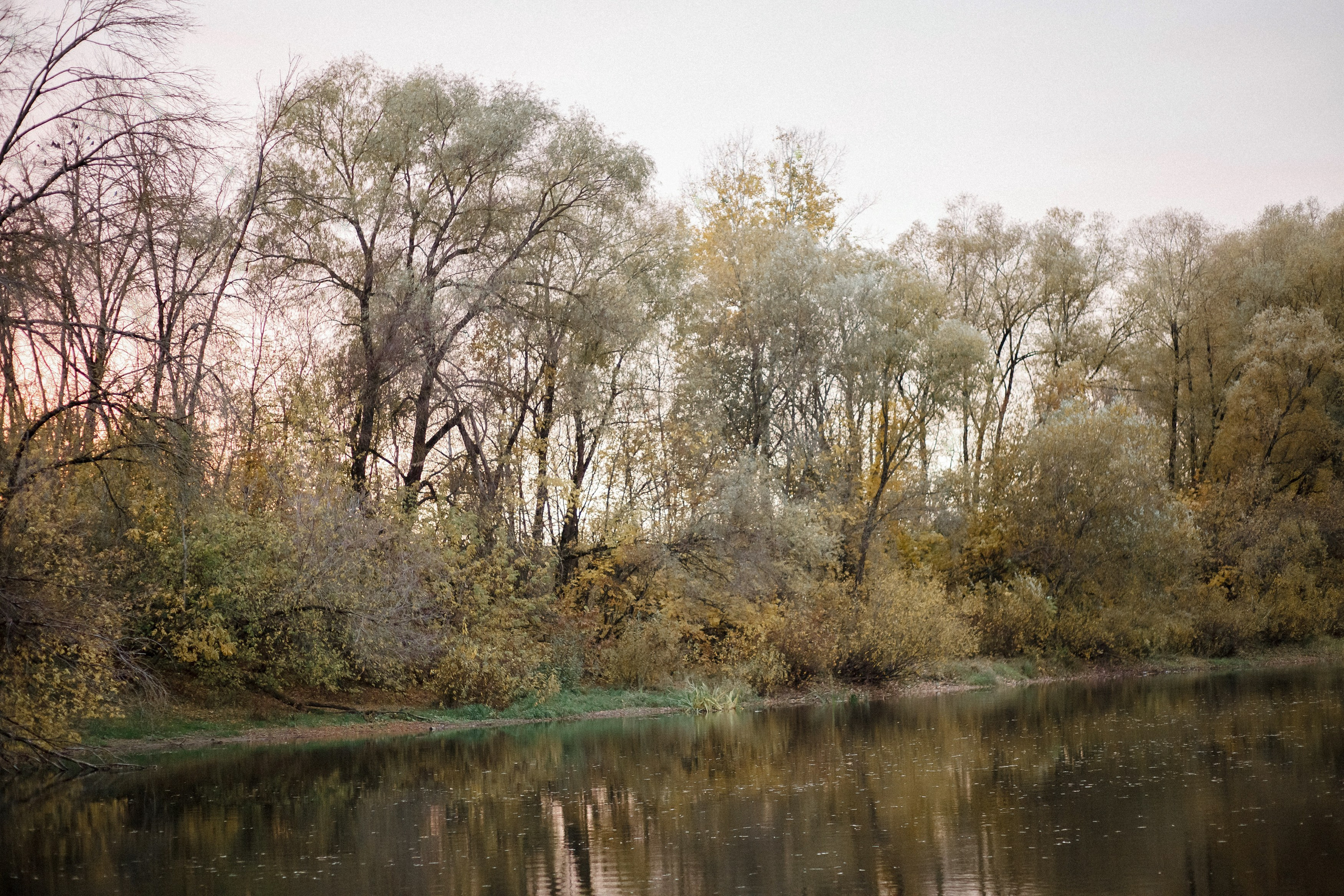 Бристоль (Бежицкий район). Портретный, семейный, свадебный фотограф в Брянске Маргарита Василькова