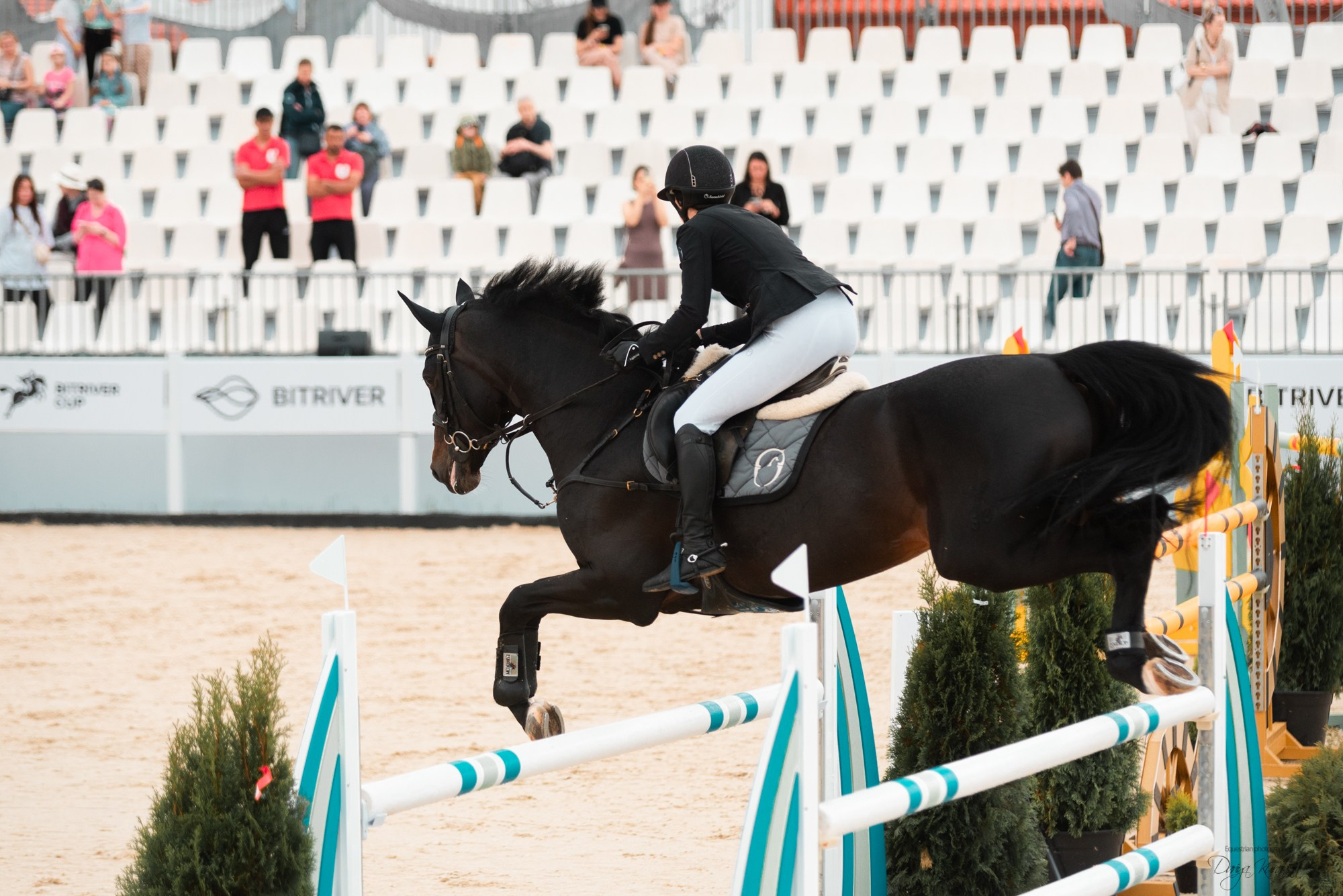 BITRIVER CUP 2023. Конный фотограф Куракина Дарья • Фотосессии с лошадьми