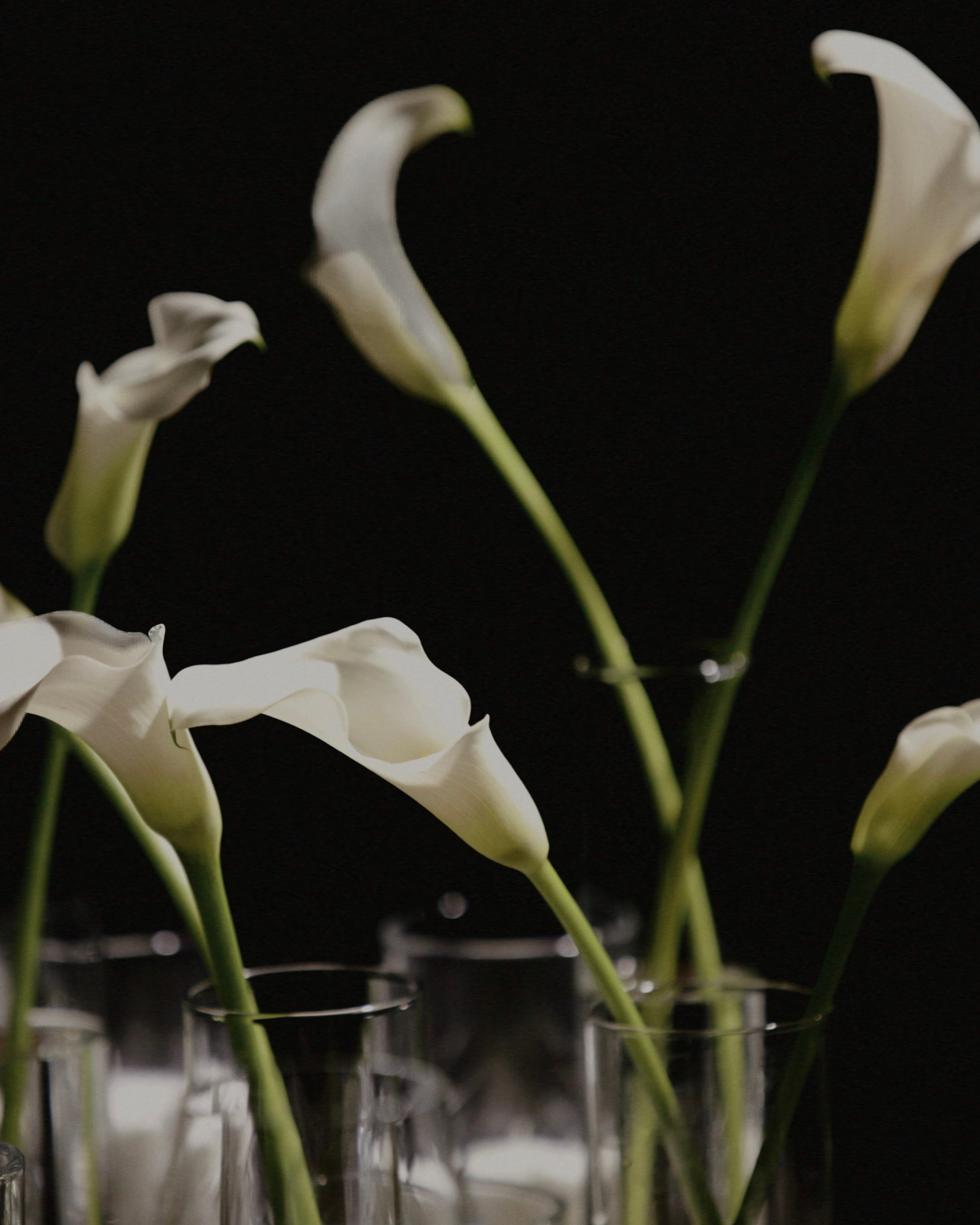 Данил и Кристина. Your lerris