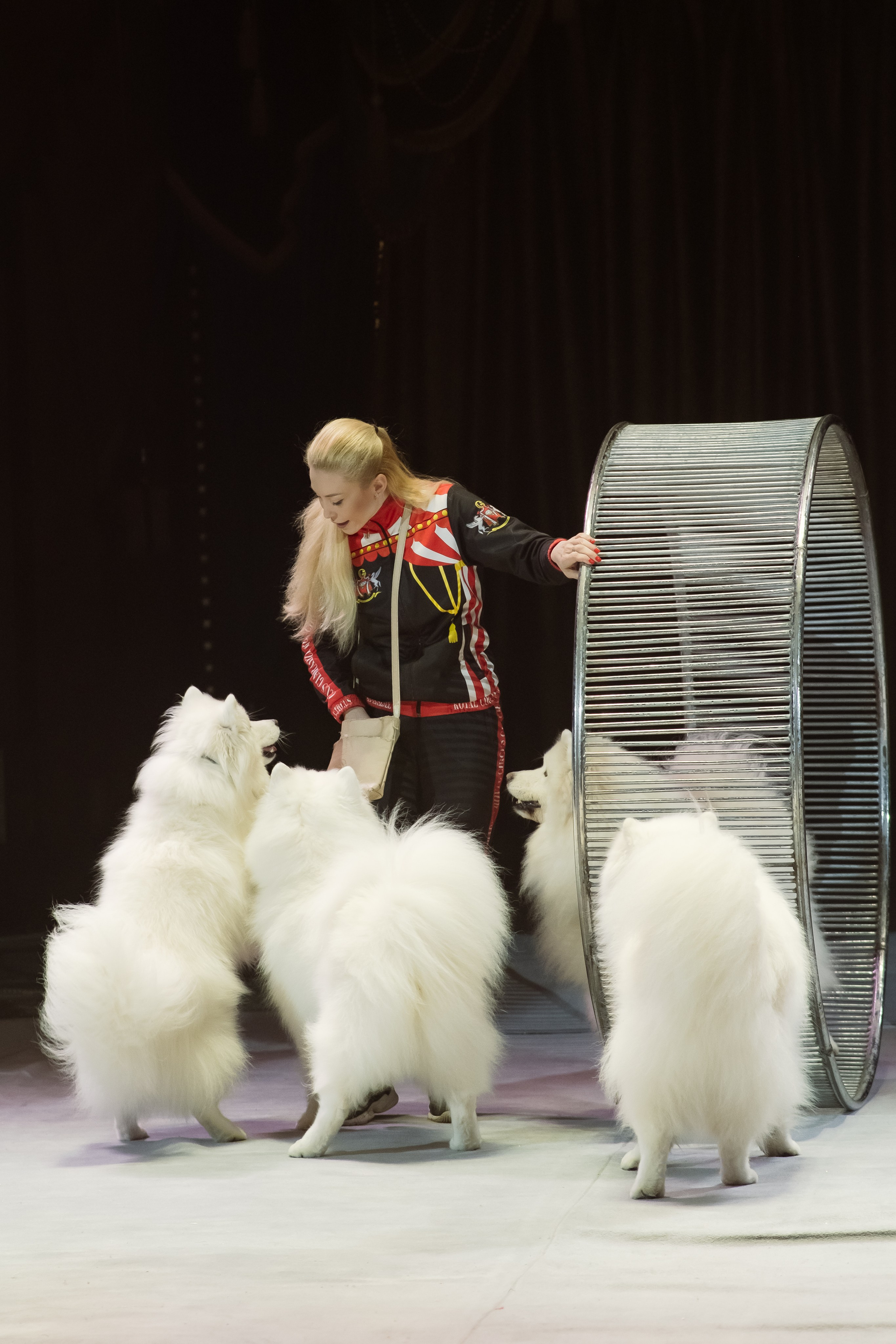 Репортаж. Фотограф Новосибирск Анна Рождественская