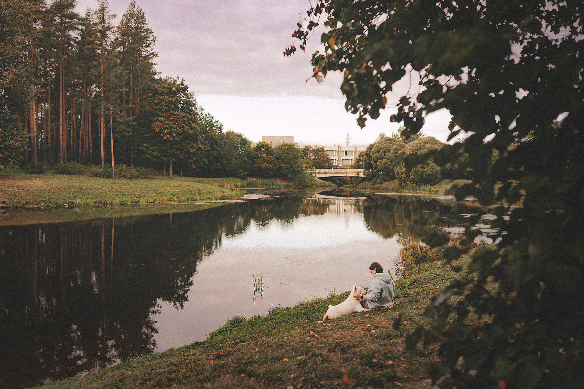 Дон, Настя. Фотограф-анималист • love-story • Санкт-Петербург