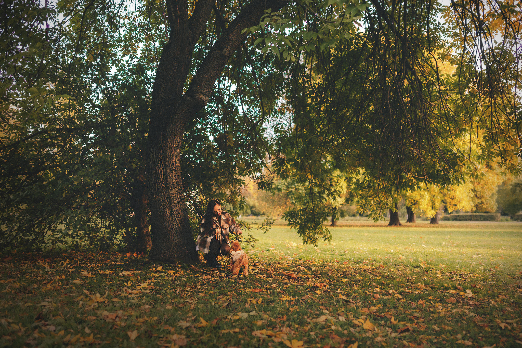 Томми и Алина. Фотограф-анималист • love-story • Санкт-Петербург