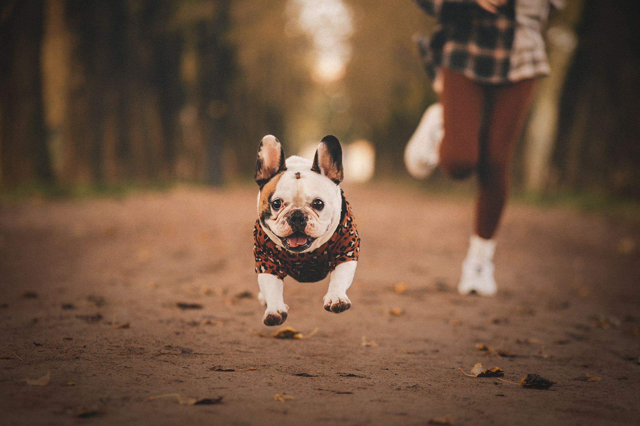 Патрик и Ксюша. Фотограф-анималист • love-story • Санкт-Петербург