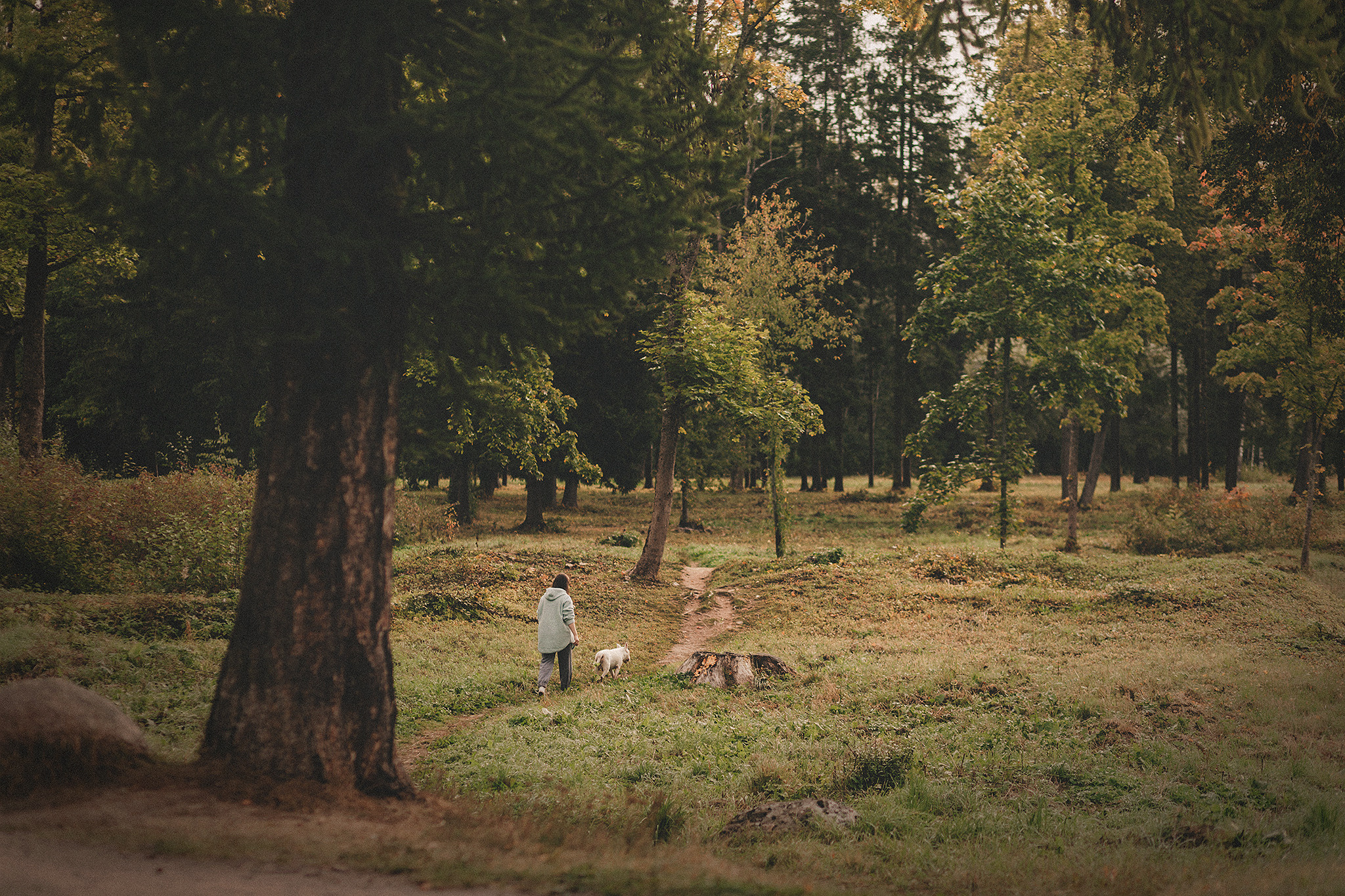 Дон, Настя. Фотограф-анималист • love-story • Санкт-Петербург