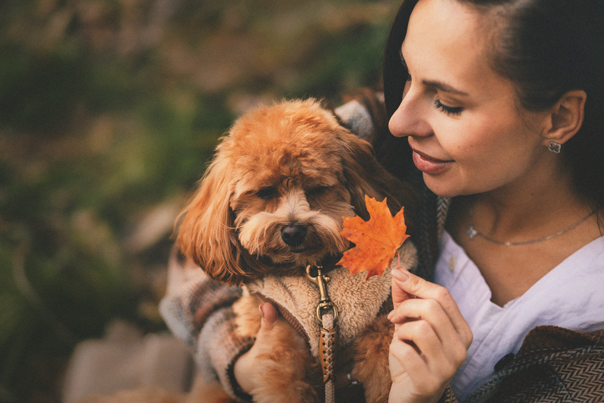 Томми и Алина. Фотограф-анималист • love-story • Санкт-Петербург