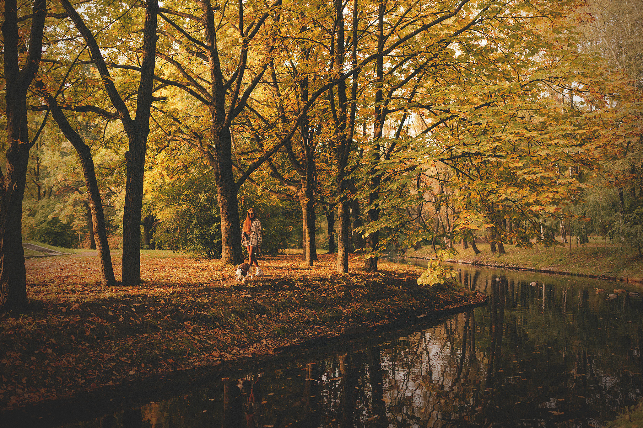 Патрик и Ксюша. Фотограф-анималист • love-story • Санкт-Петербург