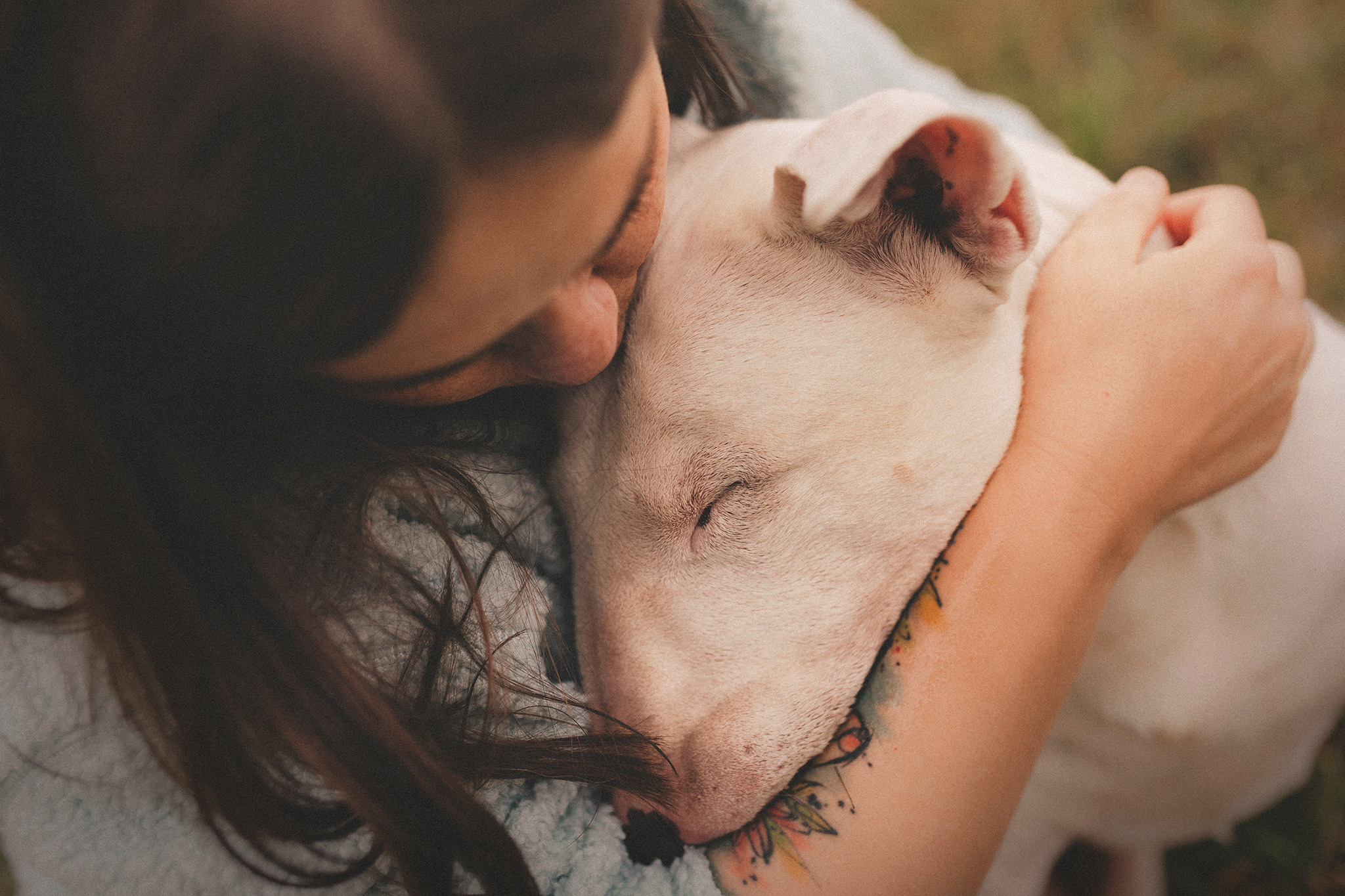 Дон, Настя. Фотограф-анималист • love-story • Санкт-Петербург