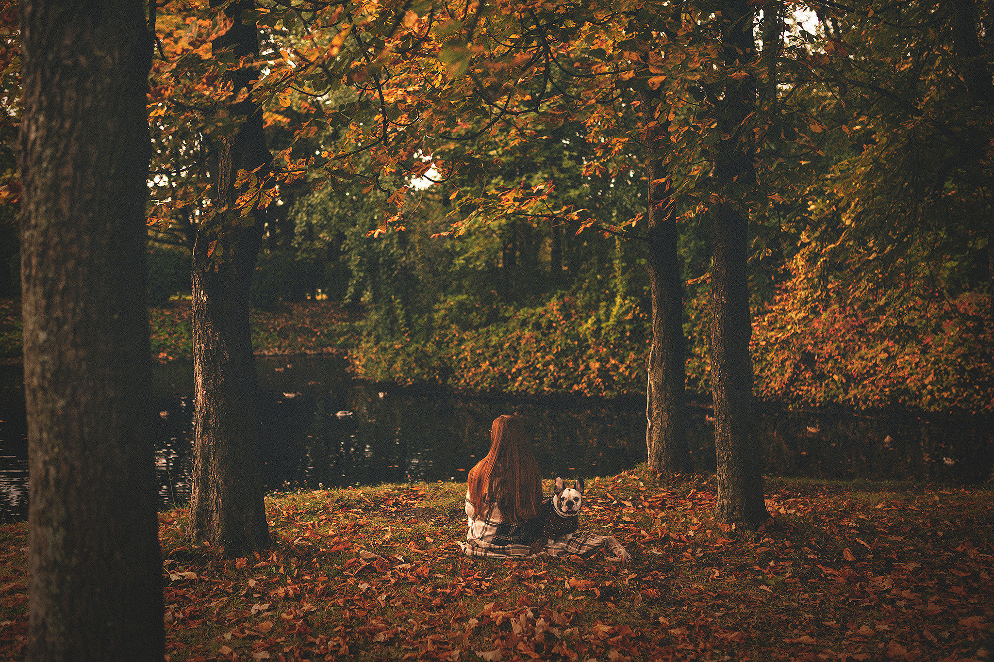 Патрик и Ксюша. Фотограф-анималист • love-story • Санкт-Петербург