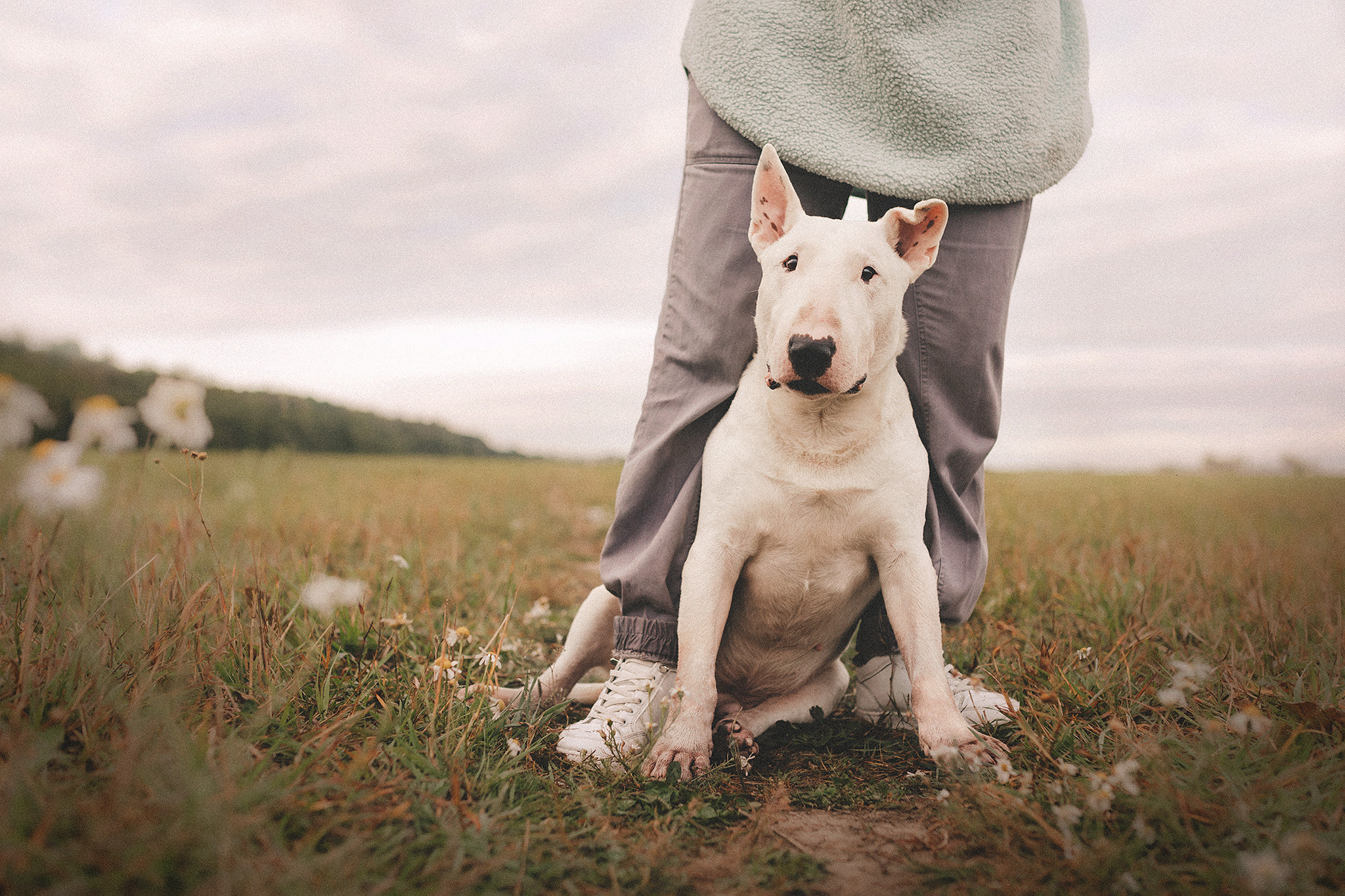 Дон, Настя. Фотограф-анималист • love-story • Санкт-Петербург