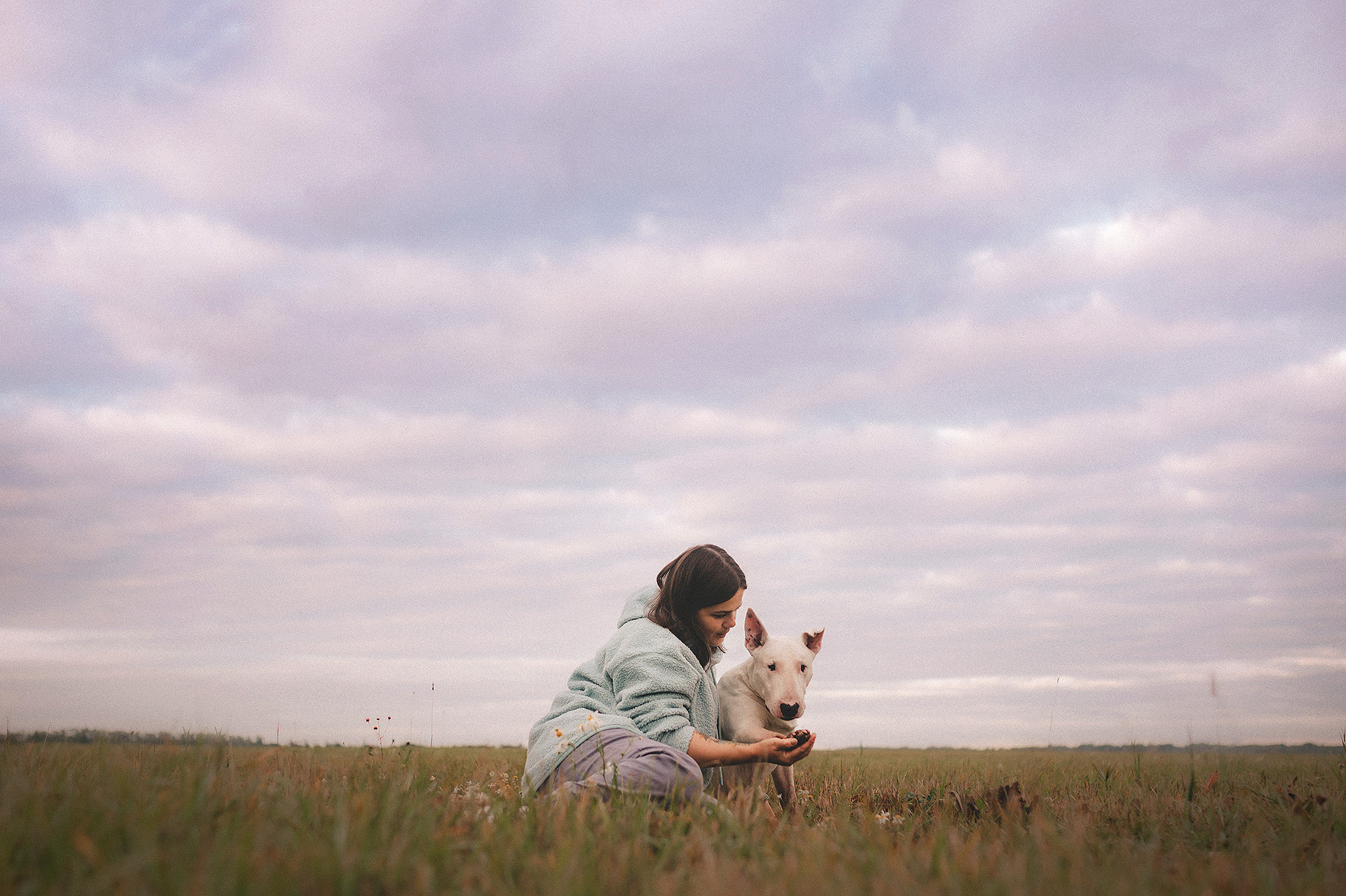 Дон, Настя. Фотограф-анималист • love-story • Санкт-Петербург