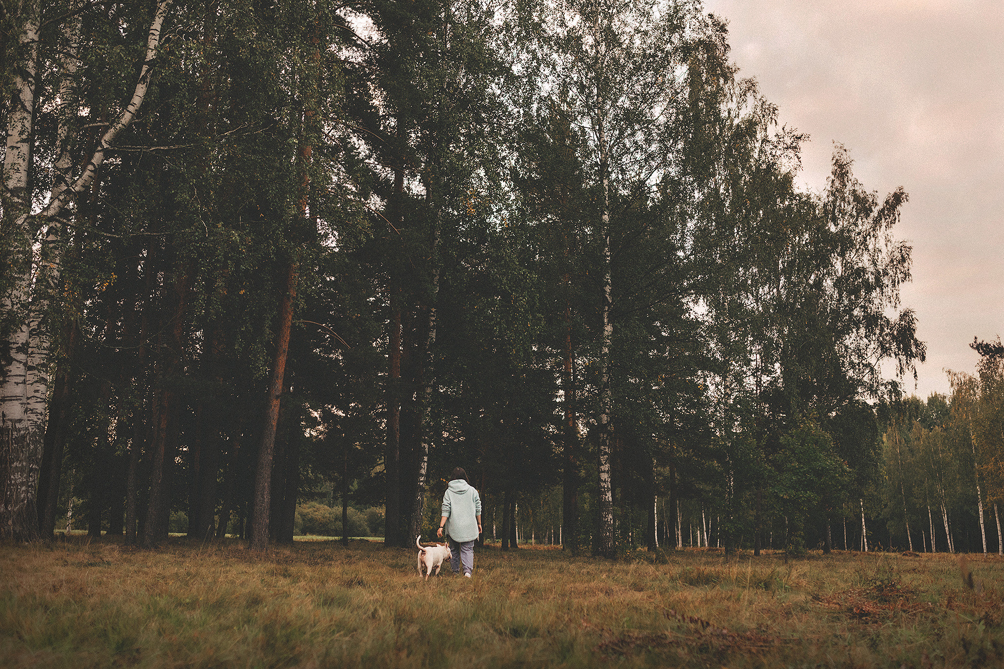 Дон, Настя. Фотограф-анималист • love-story • Санкт-Петербург