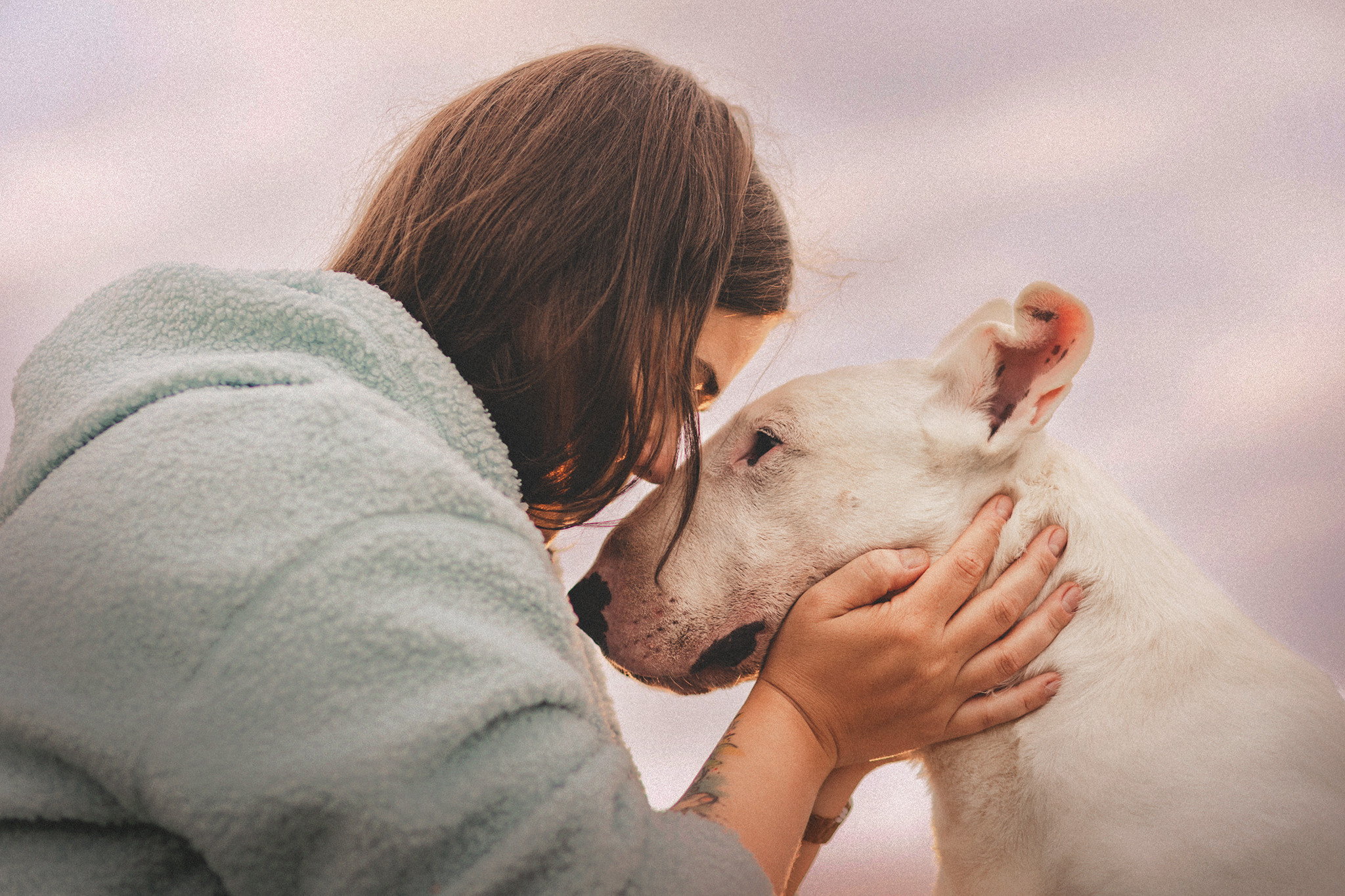 Дон, Настя. Фотограф-анималист • love-story • Санкт-Петербург