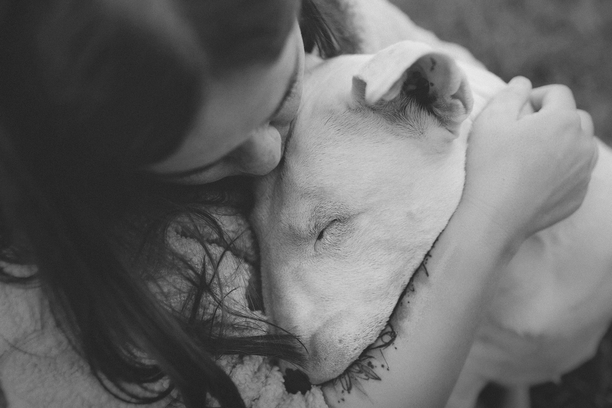 Дон, Настя. Фотограф-анималист • love-story • Санкт-Петербург