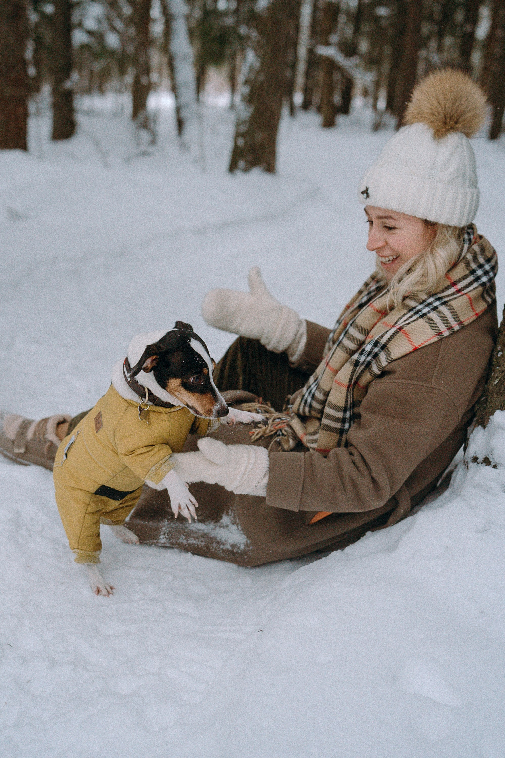 Алина, Ваниль и Элис. Фотограф анималист в Москве и Санкт-Петербурге Свиридова Анна