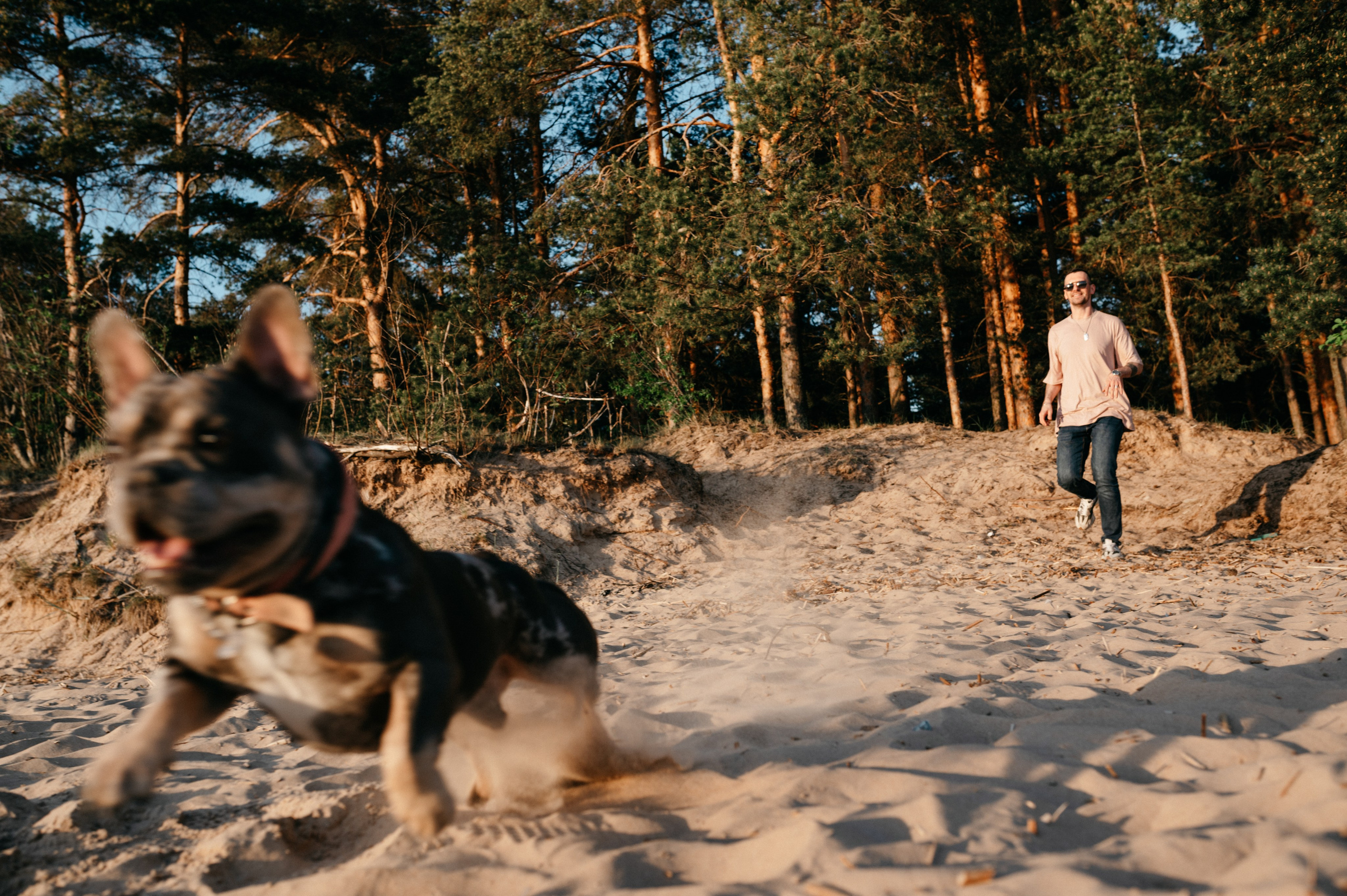 Коля и Бакс. Фотограф анималист в Москве Ольга Агушева