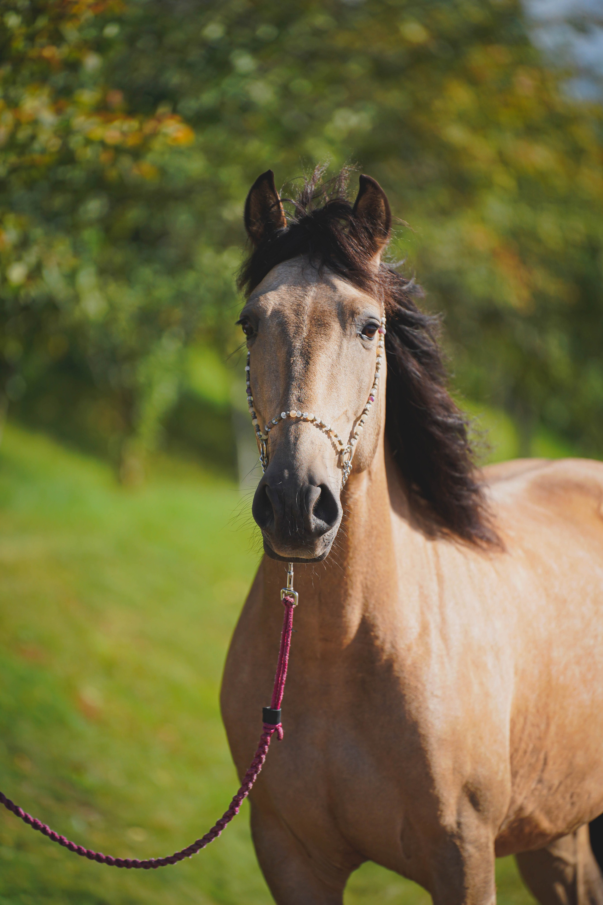 Экстерьер и спорт. Фотограф в Москве Ленарская Дарья