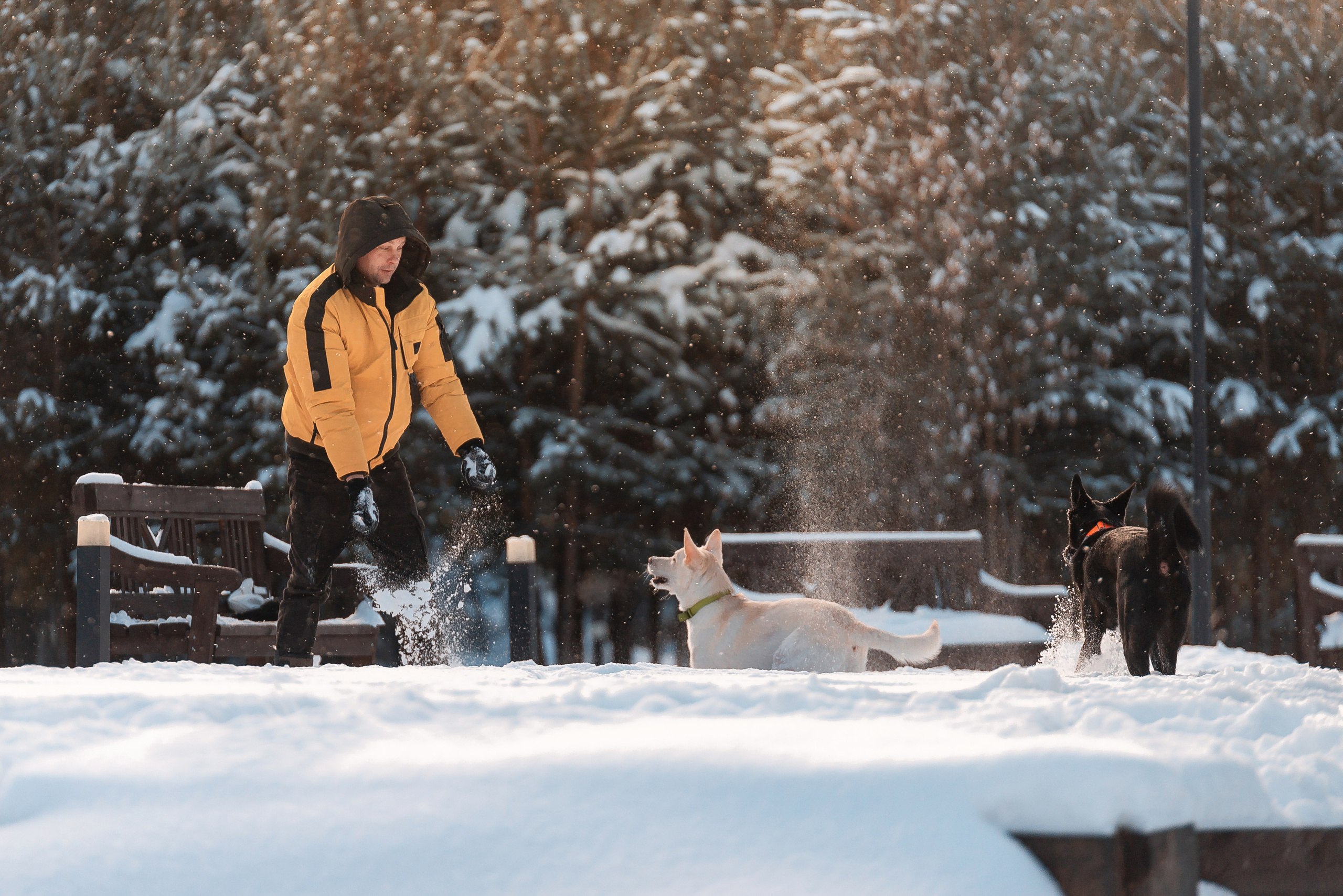 Татьяна, Михаил, Шелли и Лаки. Фотограф-анималист Анастасия Парфенова|Екатеринбург