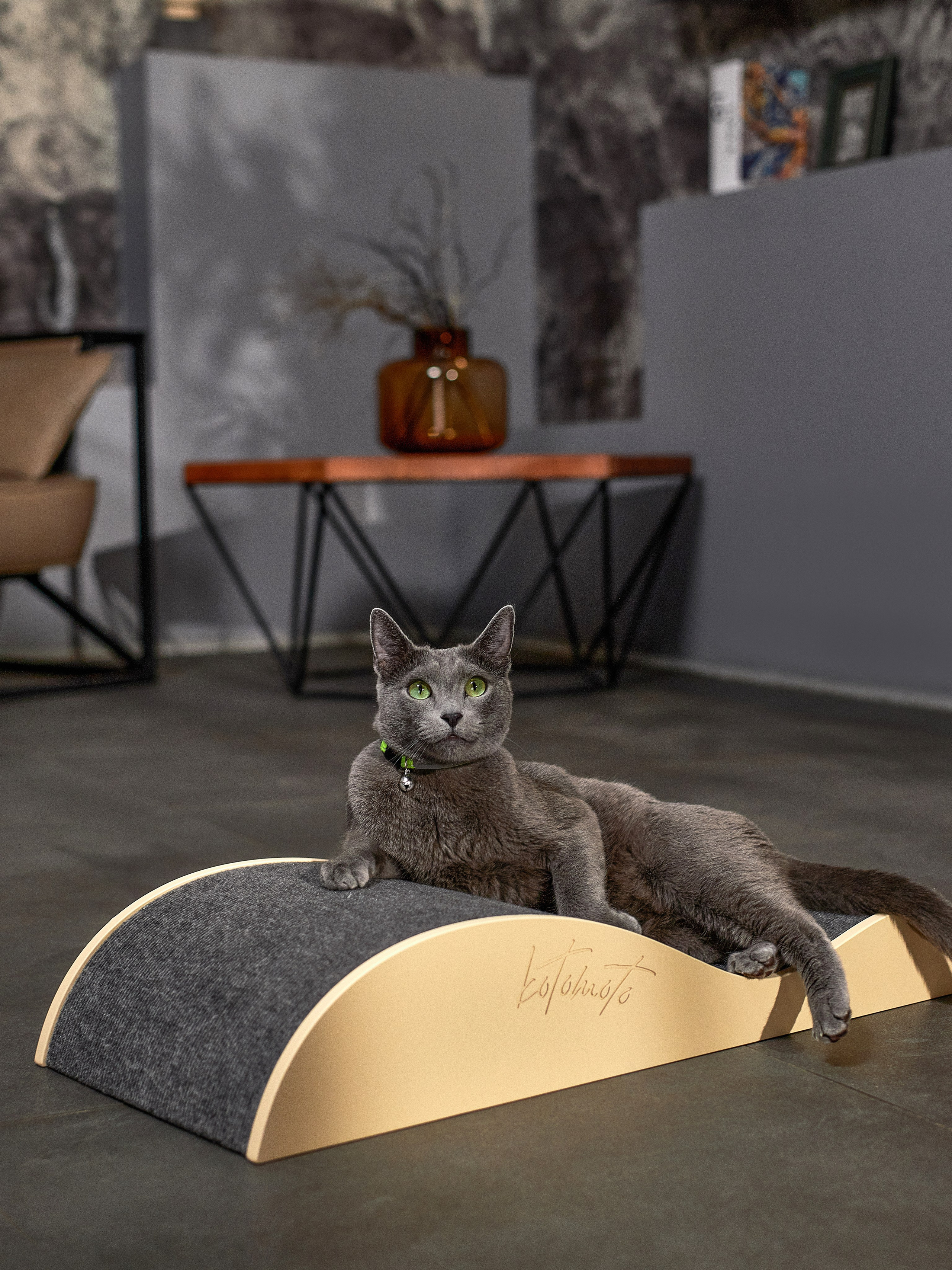 KOTOMOTO. Главная