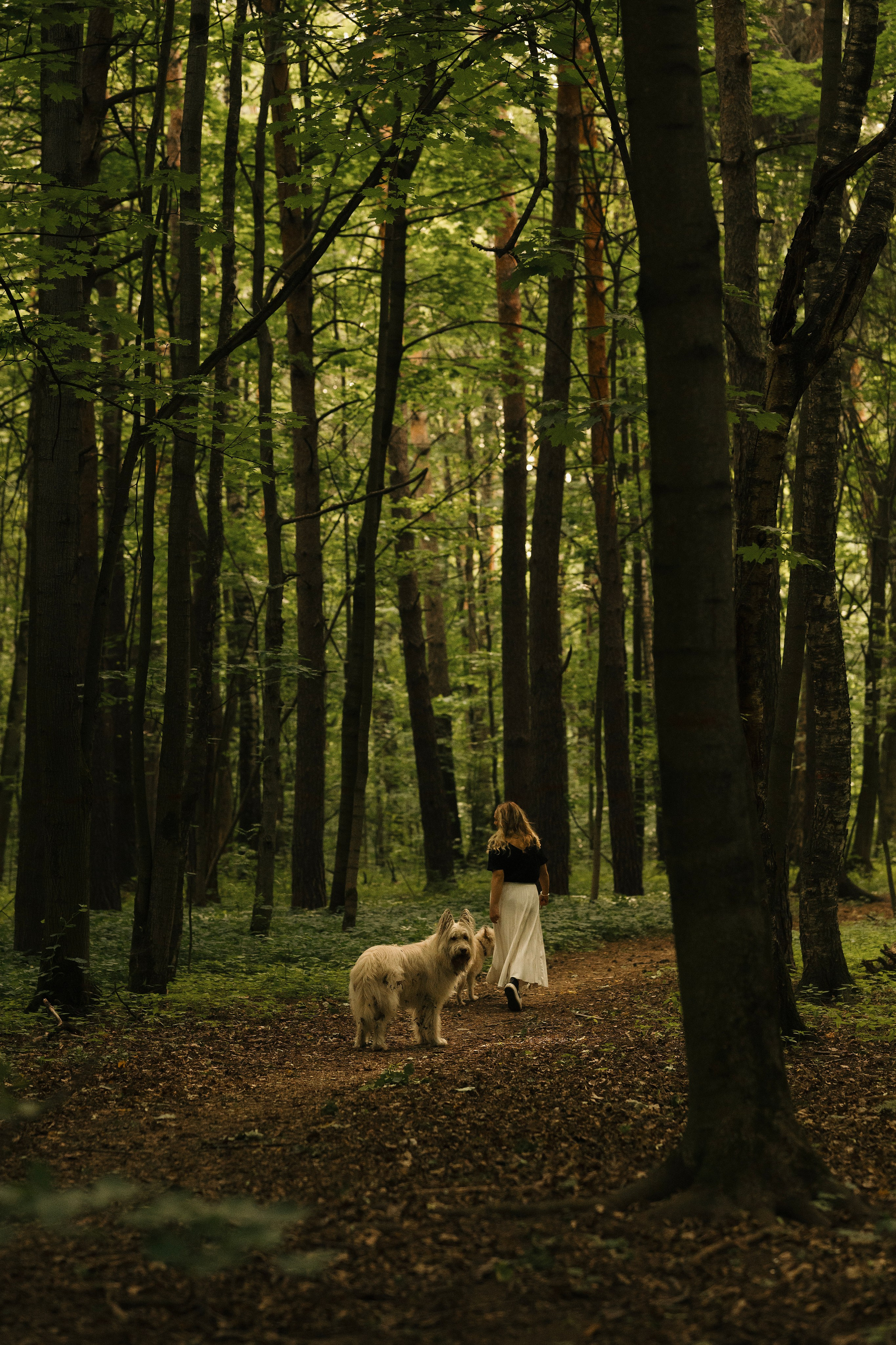 Акиро и Йоши. Фотограф- анималист Александра Матвеева