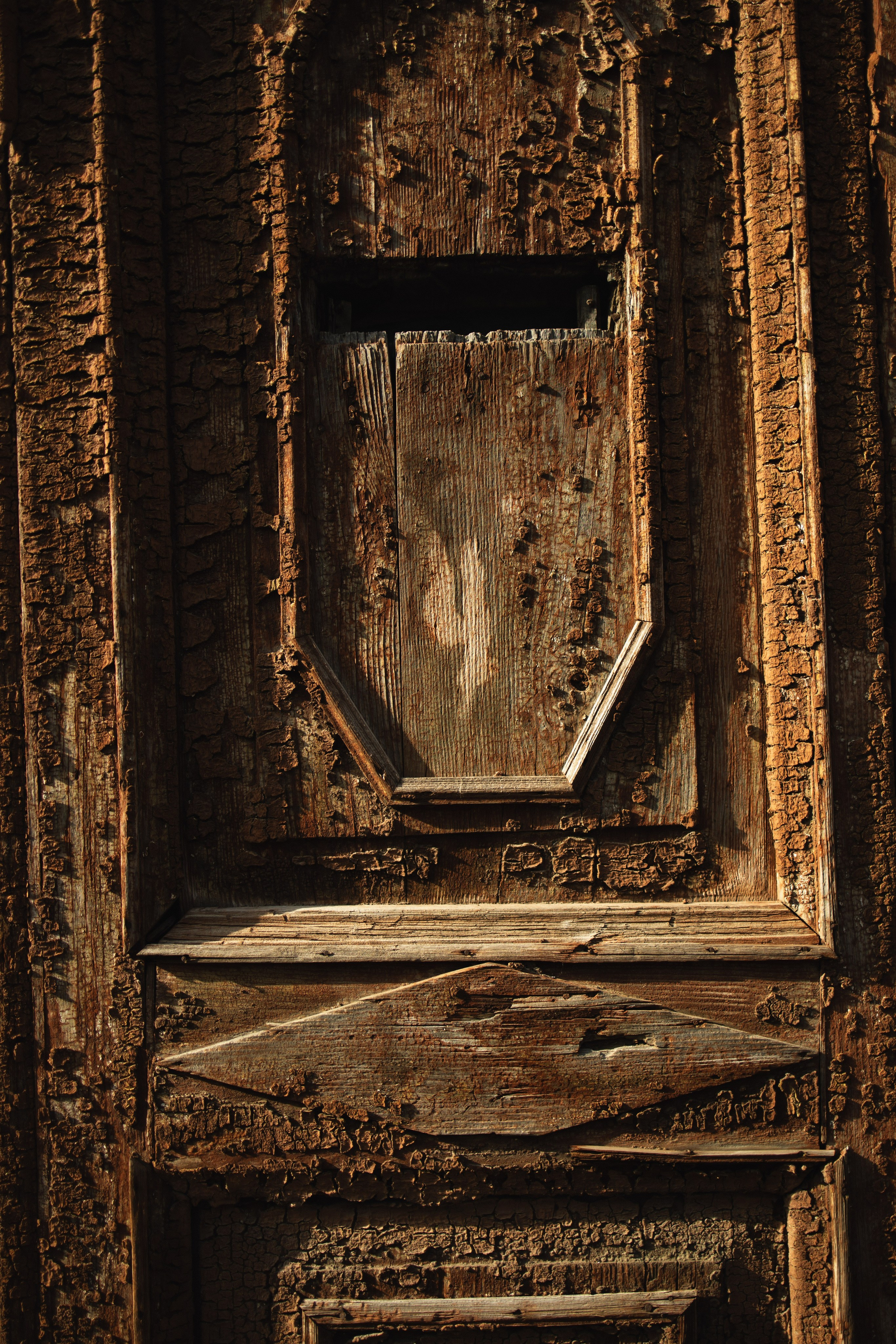 Надежда. Профессиональная видео и фото съёмка в Калуге и области