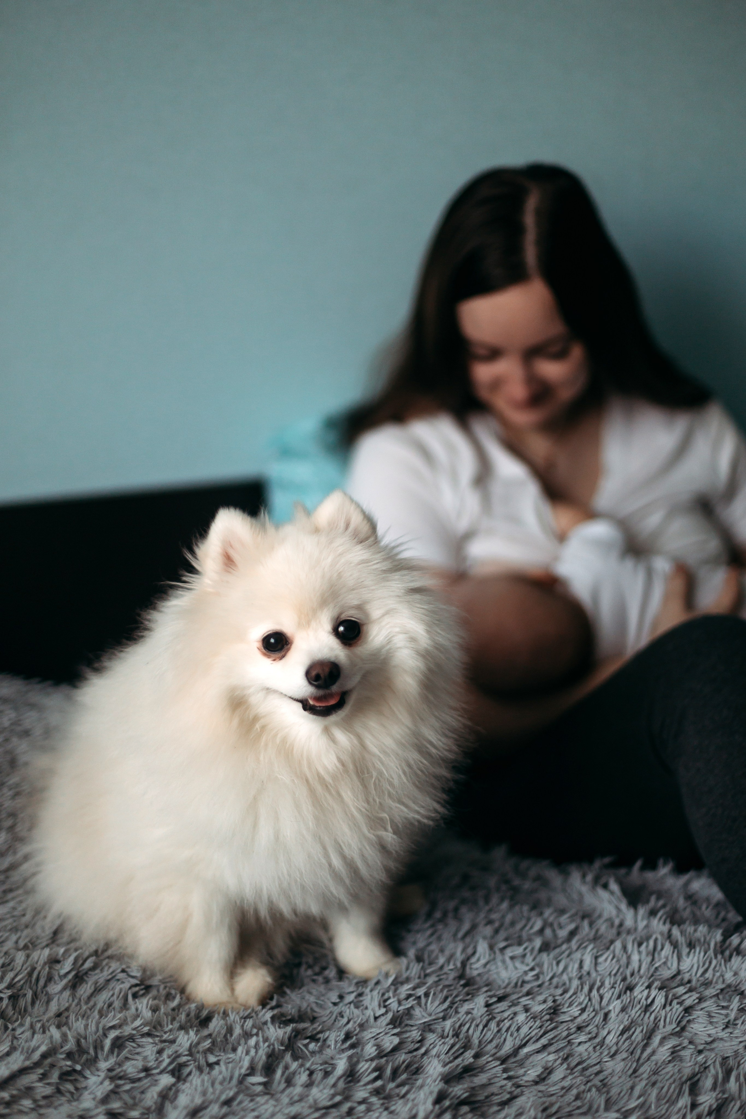 Семья Елены. Семейный фотограф Марина Платонова