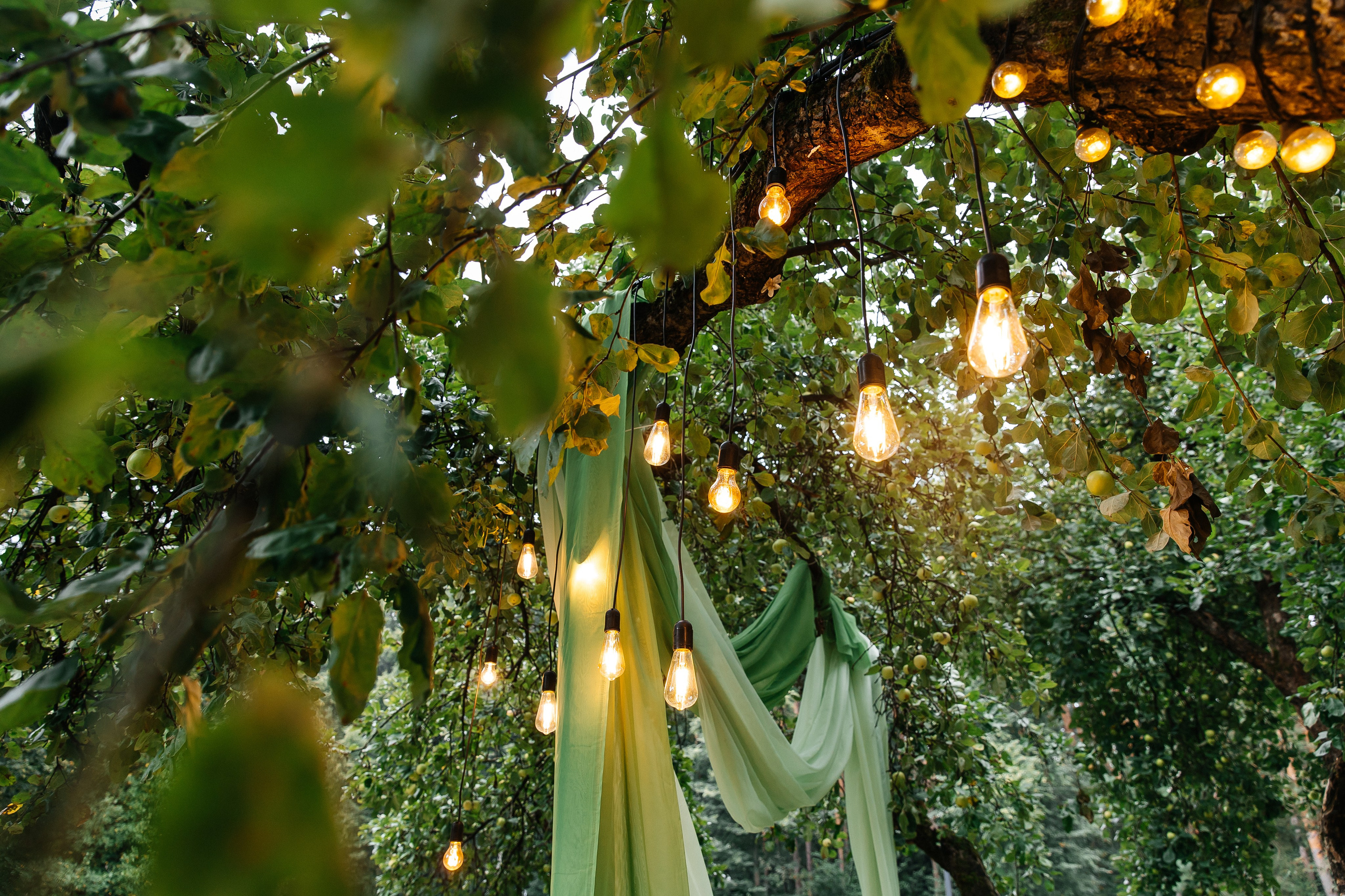 23/08. Свадебный фотограф в Москве Виктория Арехова