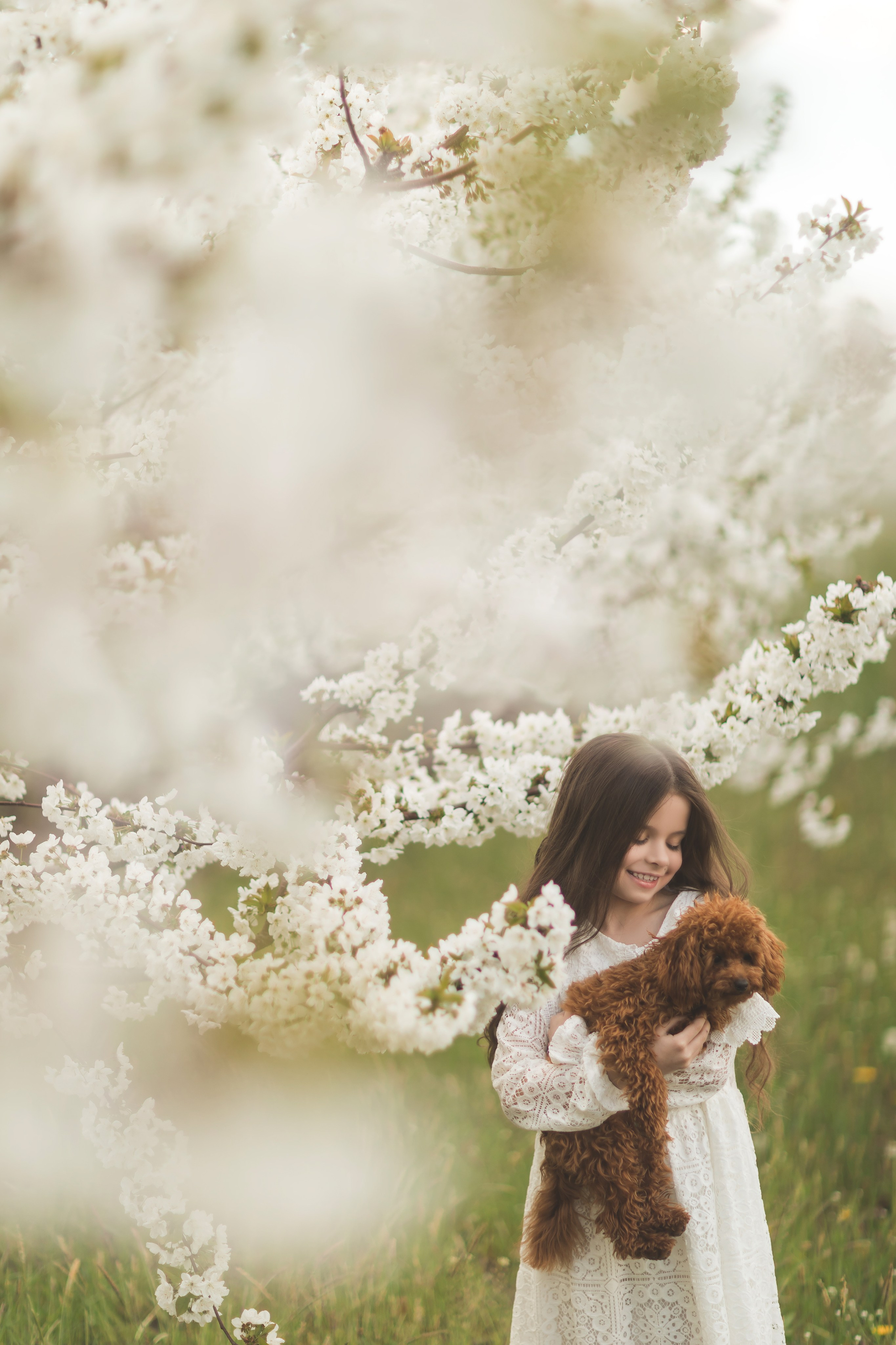 Фотодень в вишневом саду 11 апреля. Семейный и детский фотограф Краснодар Валерия Власенко