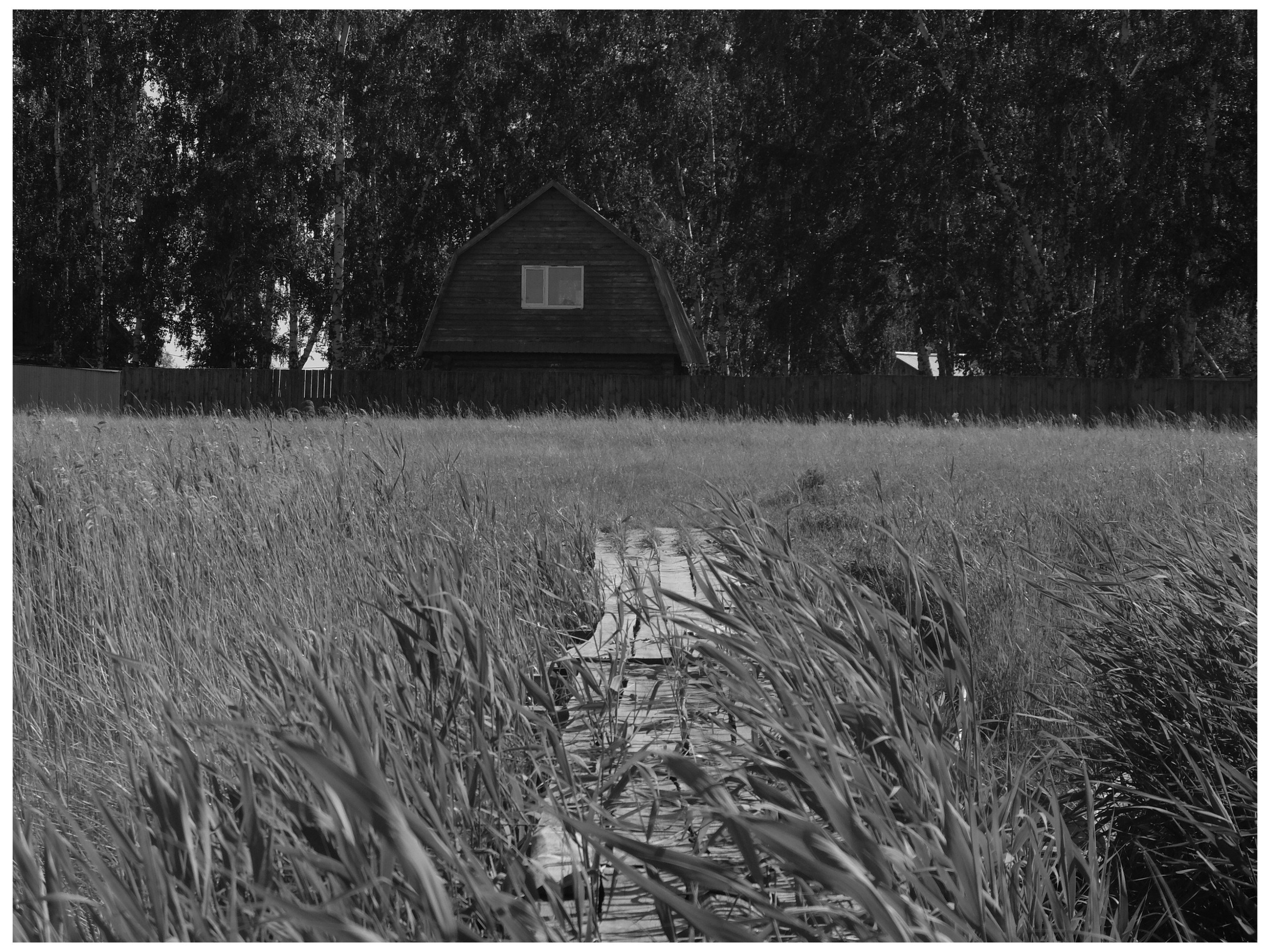 Промежуточные моменты (2022)