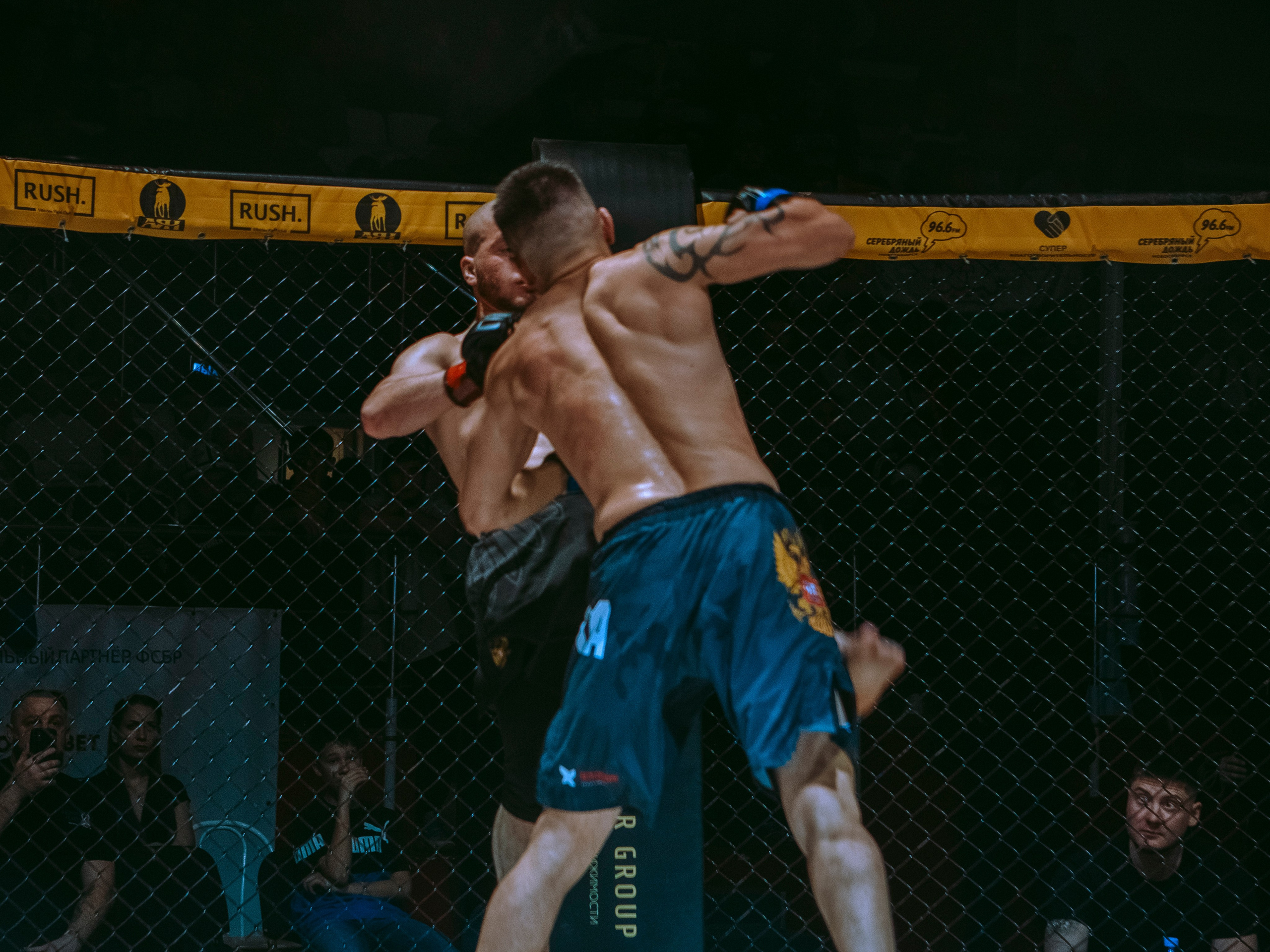 SFL 17 | Siberian Fighting League. Портретный фотограф в Москве Дарья Цезария