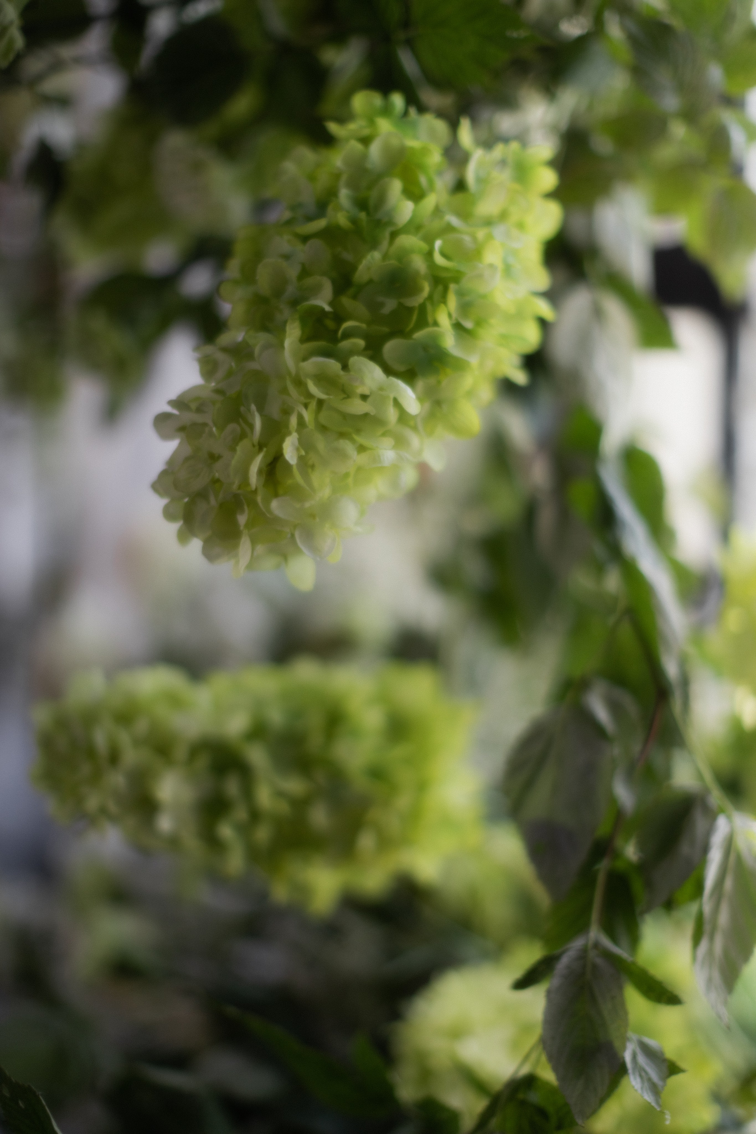 Полина & Евгений. Свадебный и семейный фотограф в Красноярске