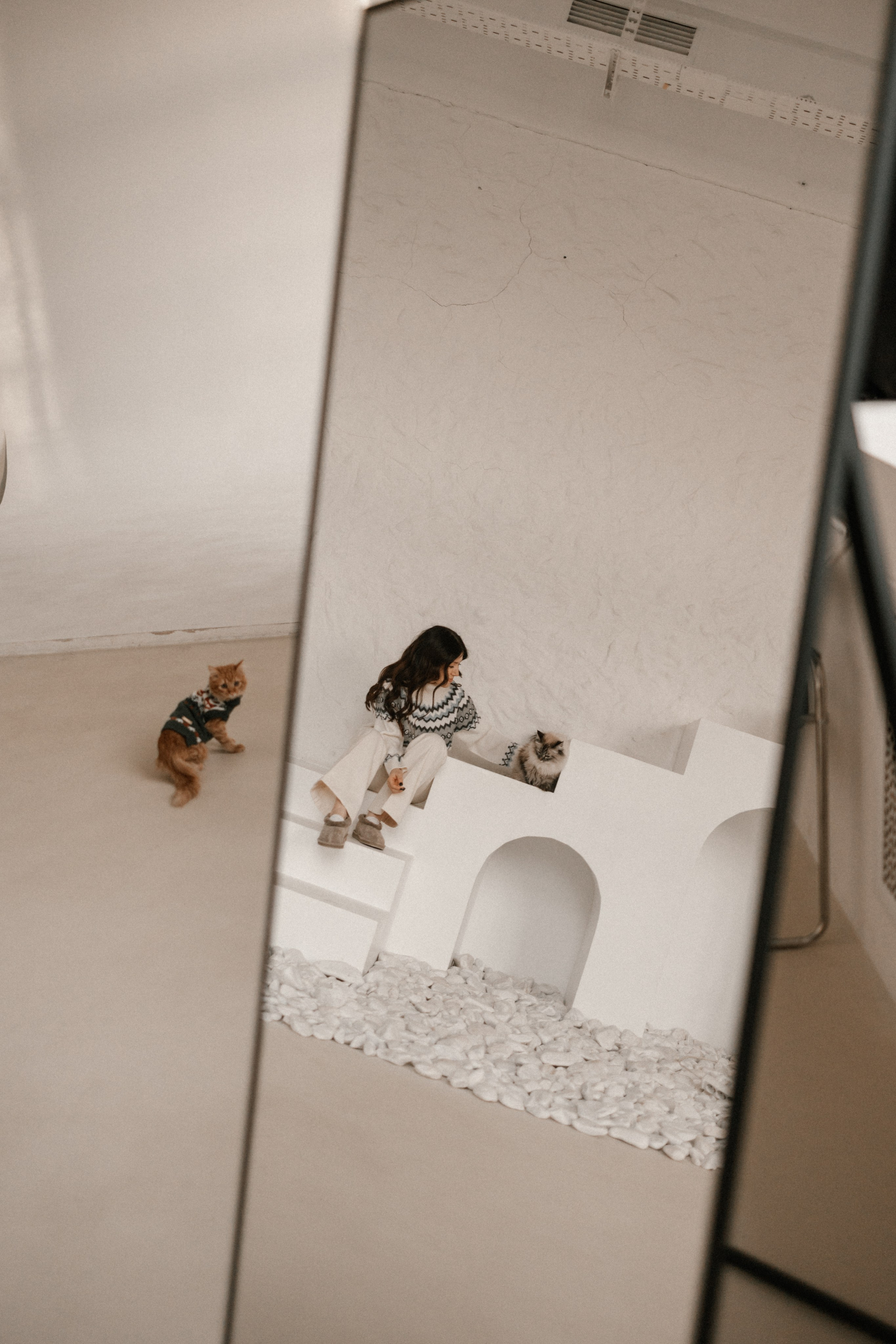 Камилла и ее девочки. Фотограф — Анималист | Санкт-Петербург