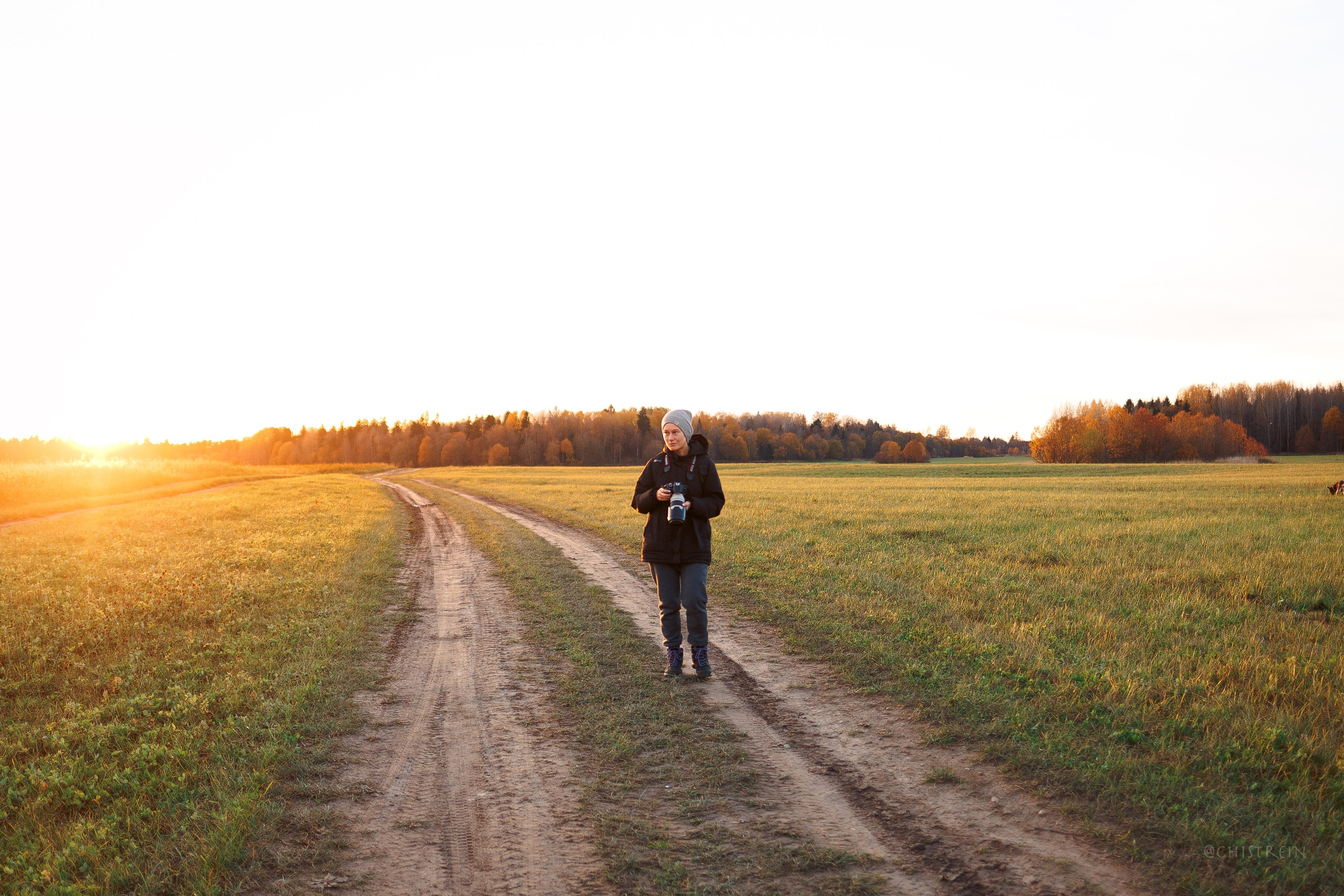 Октябрьский закат в полях. Алина и Лео. Фотограф-анималист Наталия Чистюхина в г. Сосновый Бор и ЛО