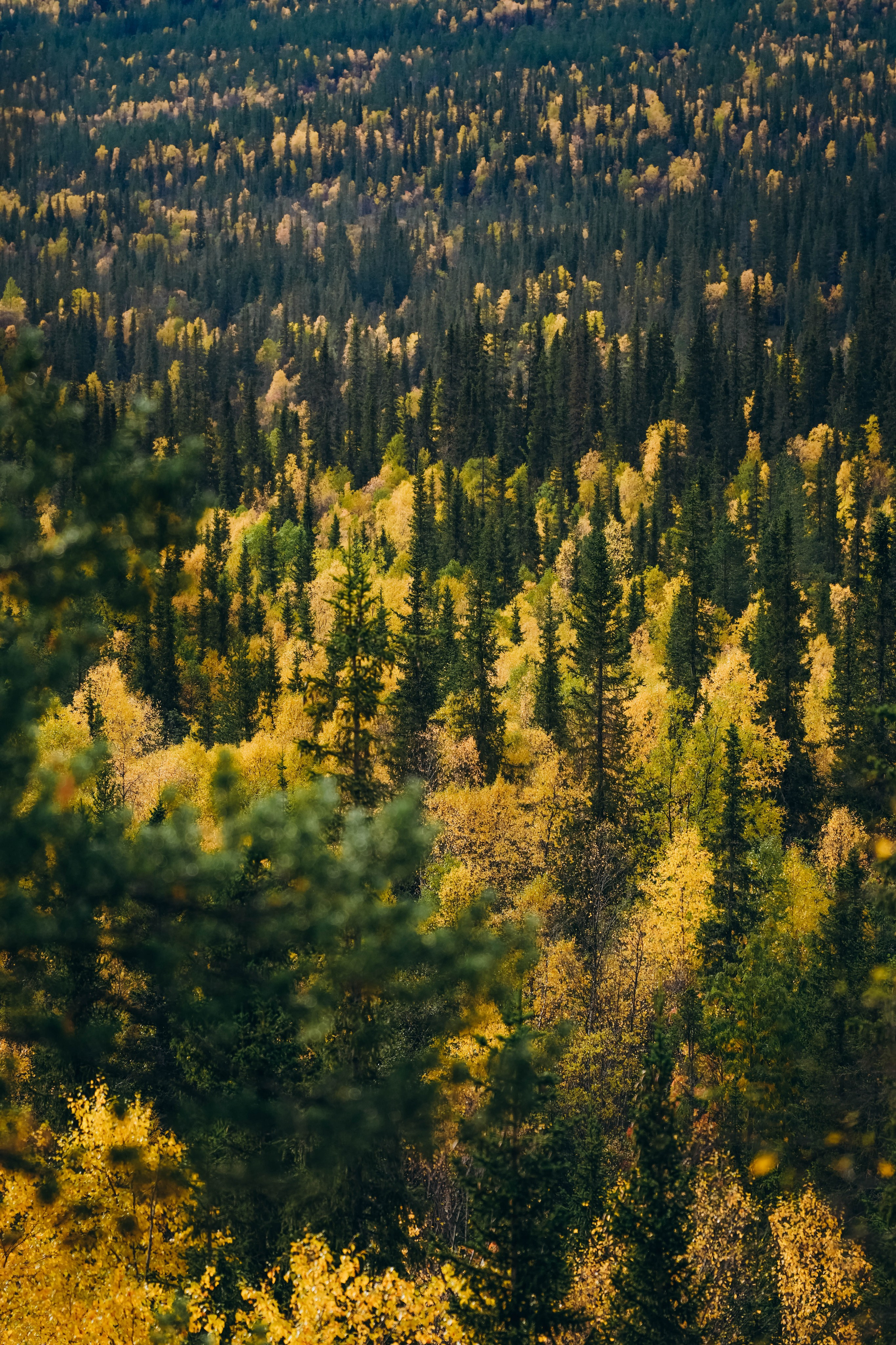 СЕВЕР. Event фотограф Степанова Александра