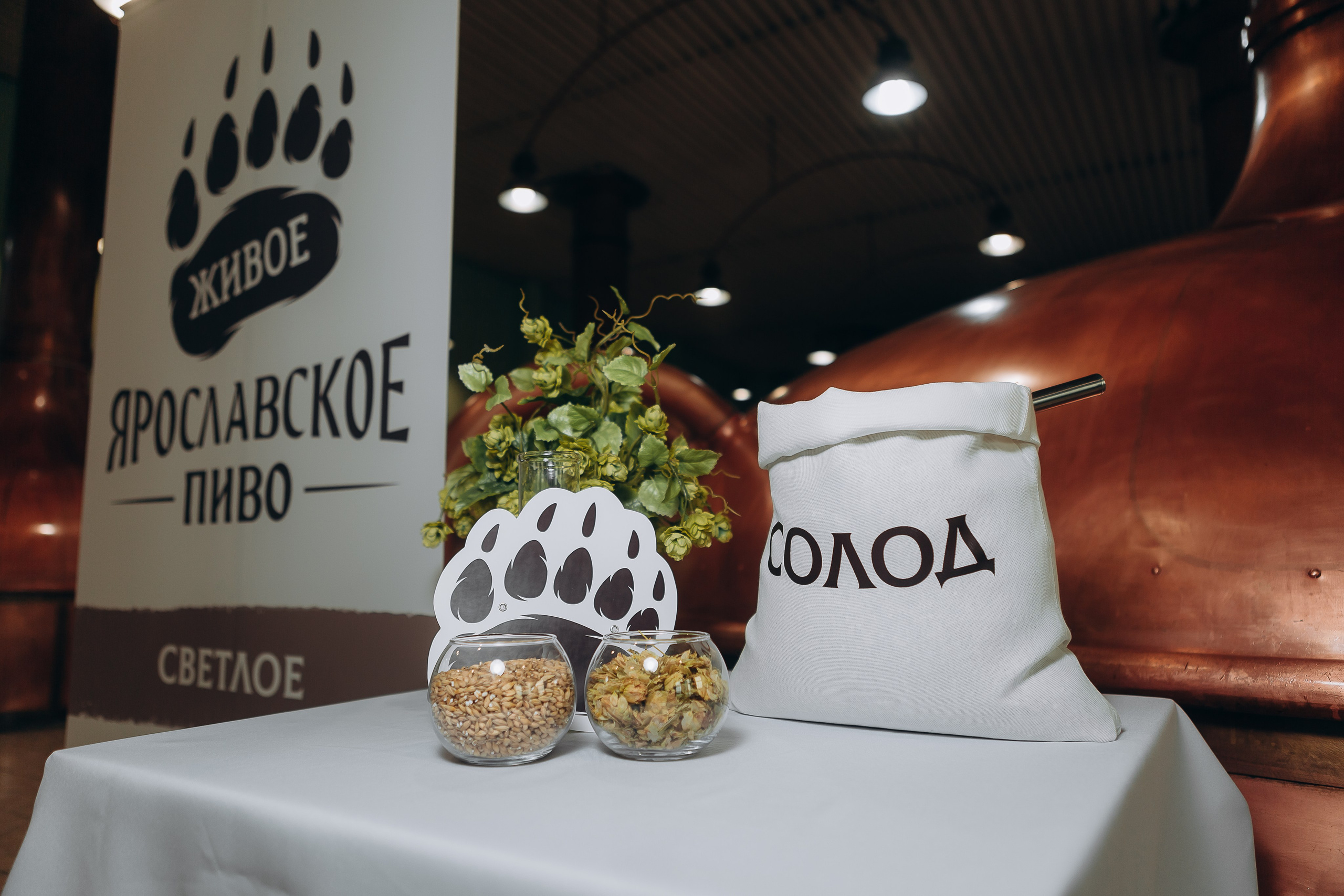 ЯР Пиво. Репортажный и свадебный фотограф Ярославль, Москва Сдобников Андрей