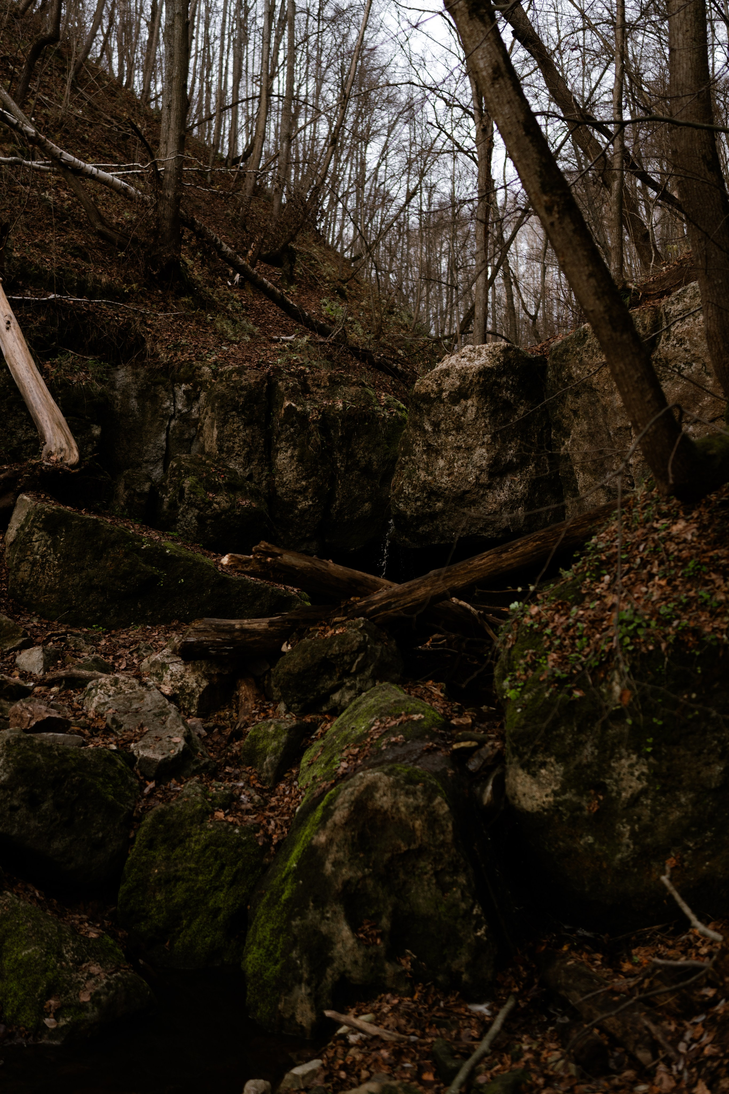 Кольцовские пещеры. Vlad Trykov