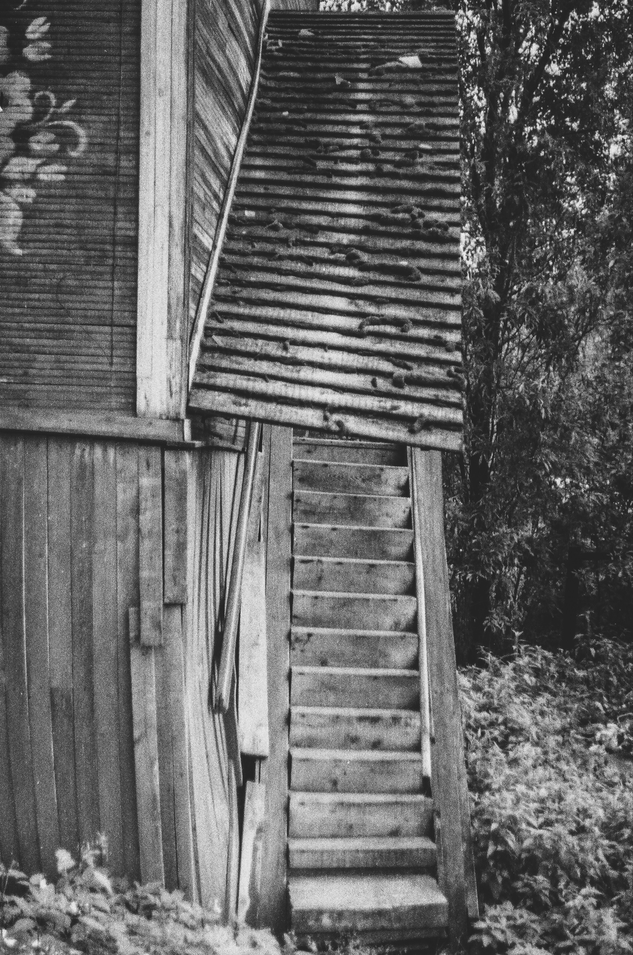 Плёнка. Фотограф Serg-Epic — Сергей Клепиков