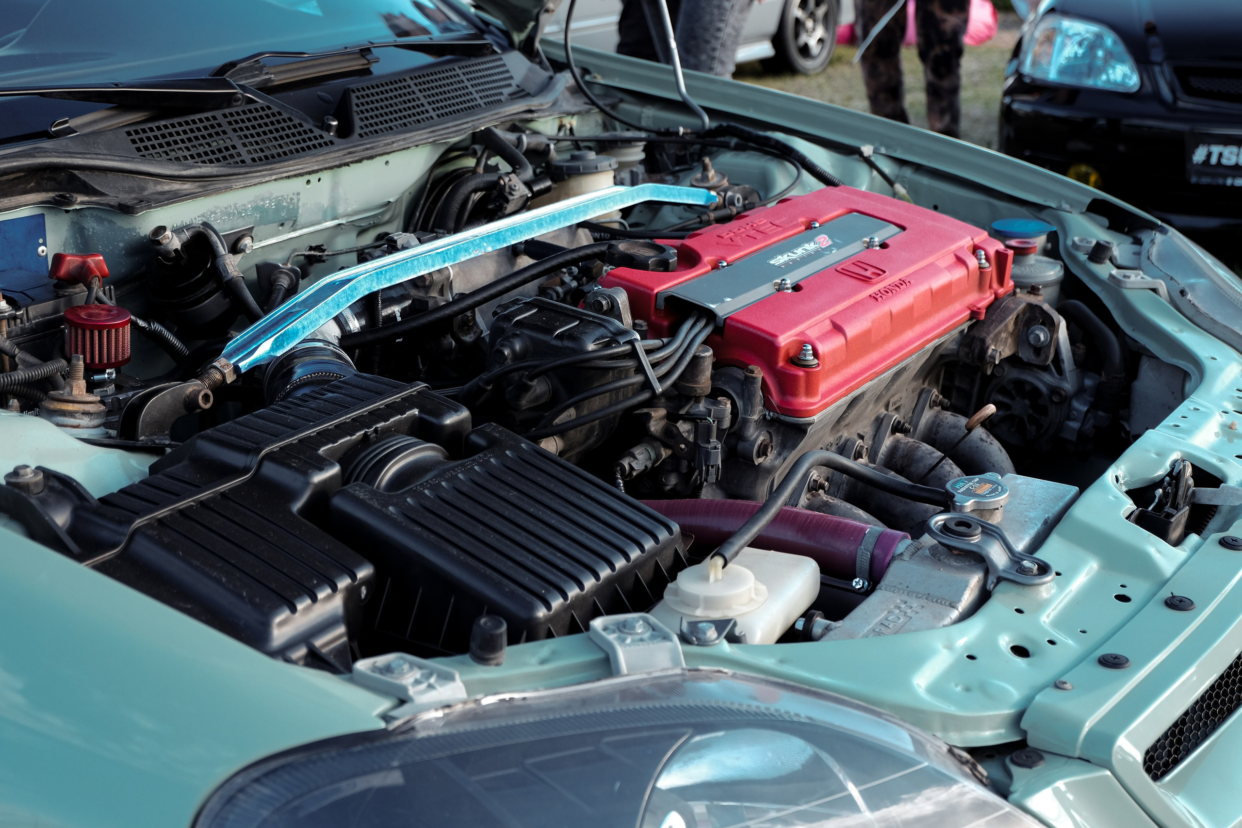 Tsunami Picnic 2024. Александр Попов