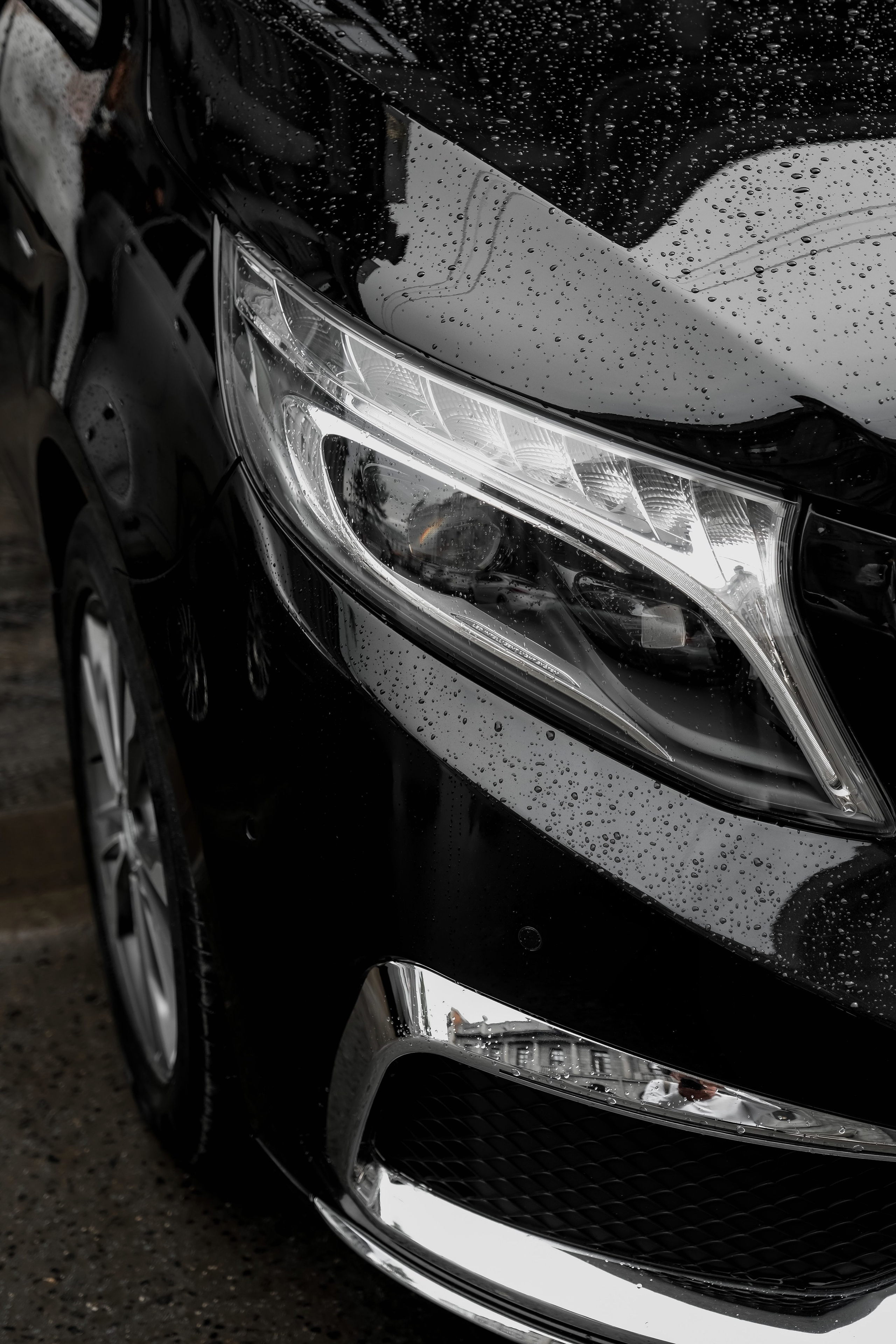 Свадебный фотограф в Омске Николай Рождественский. Профессиональный фотограф Николай Рождественский. Москва, Омск, Тюмень